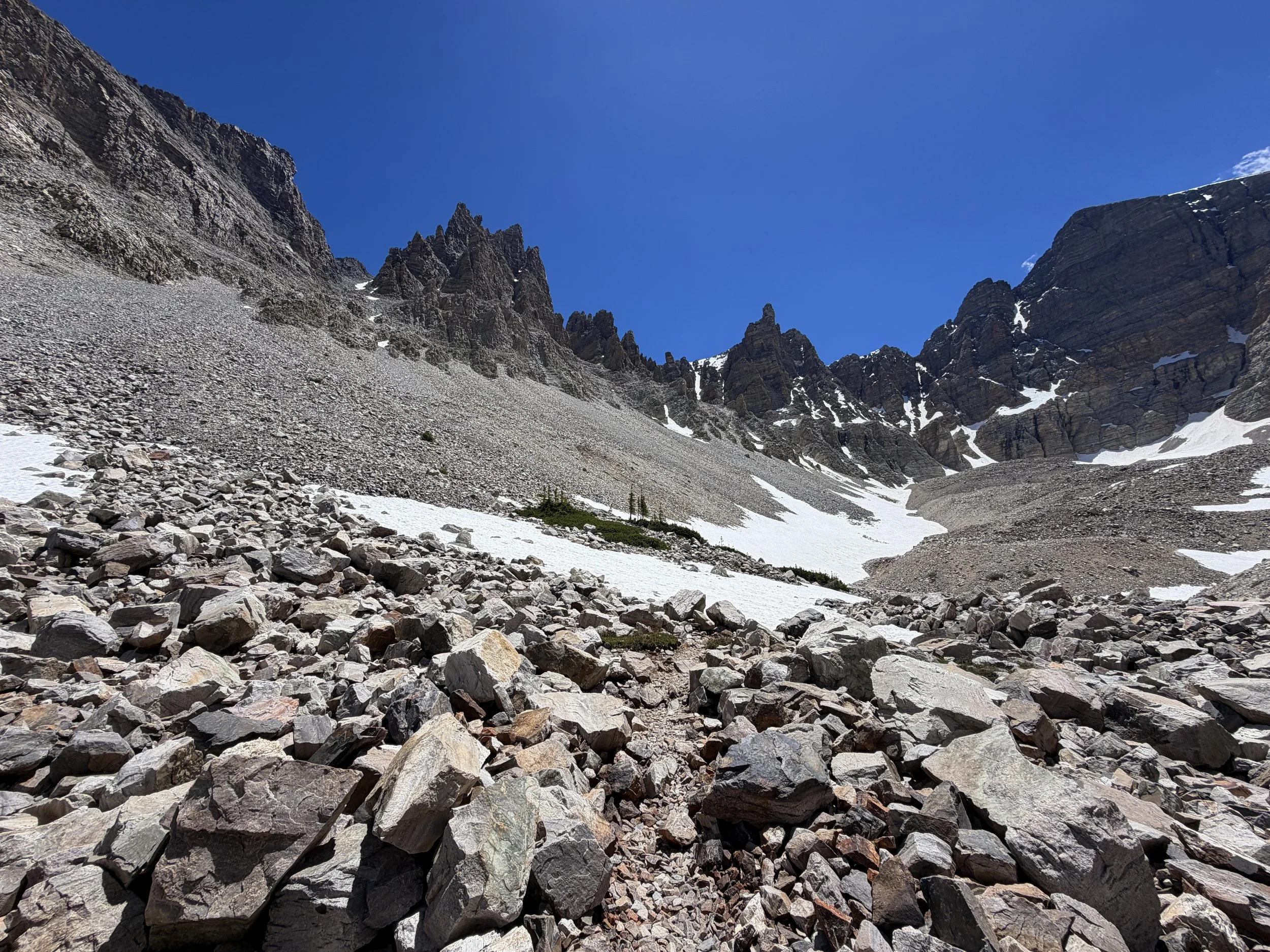 Rock Glacier Trail Great Basin National Park Nevada