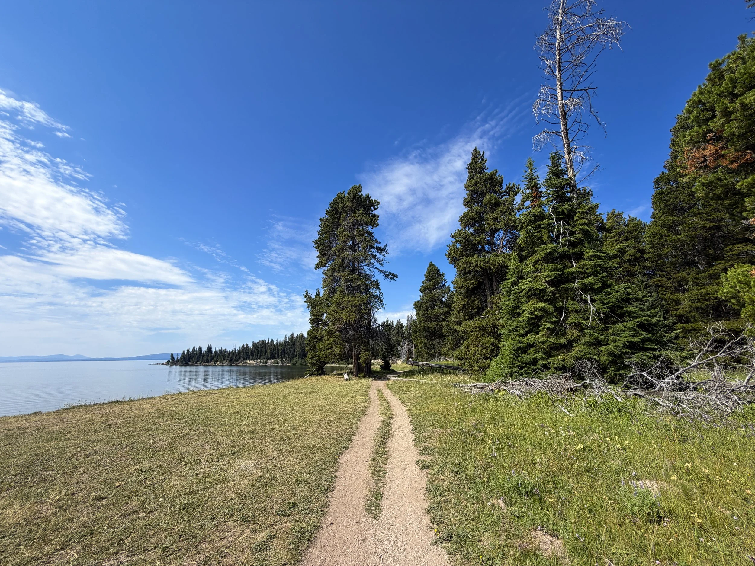 Storm Point Trail Yellowstone National Park Wyoming