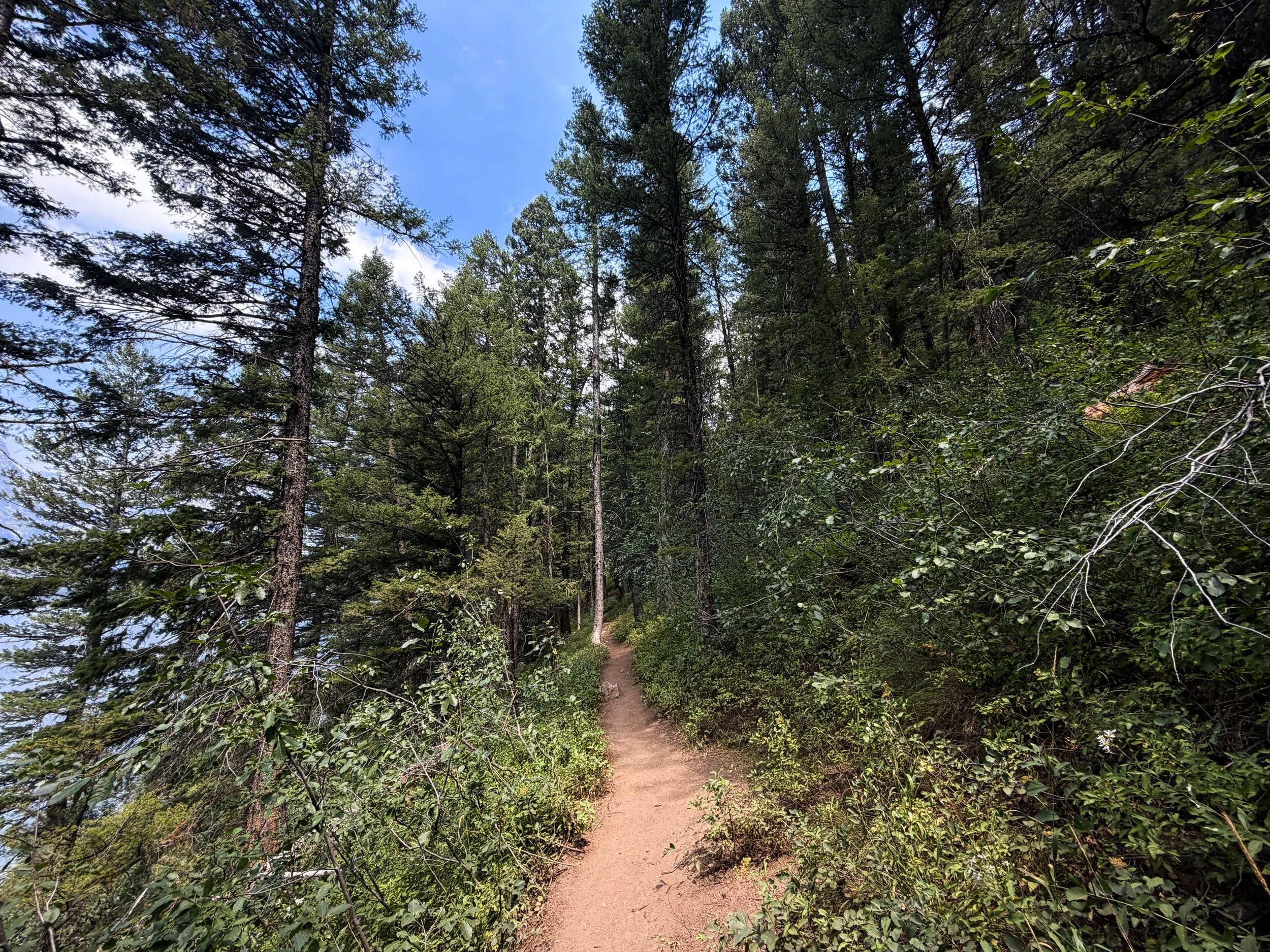 Phelps Lake Trail to Jumping Rock Grand Teton National Park Wyoming