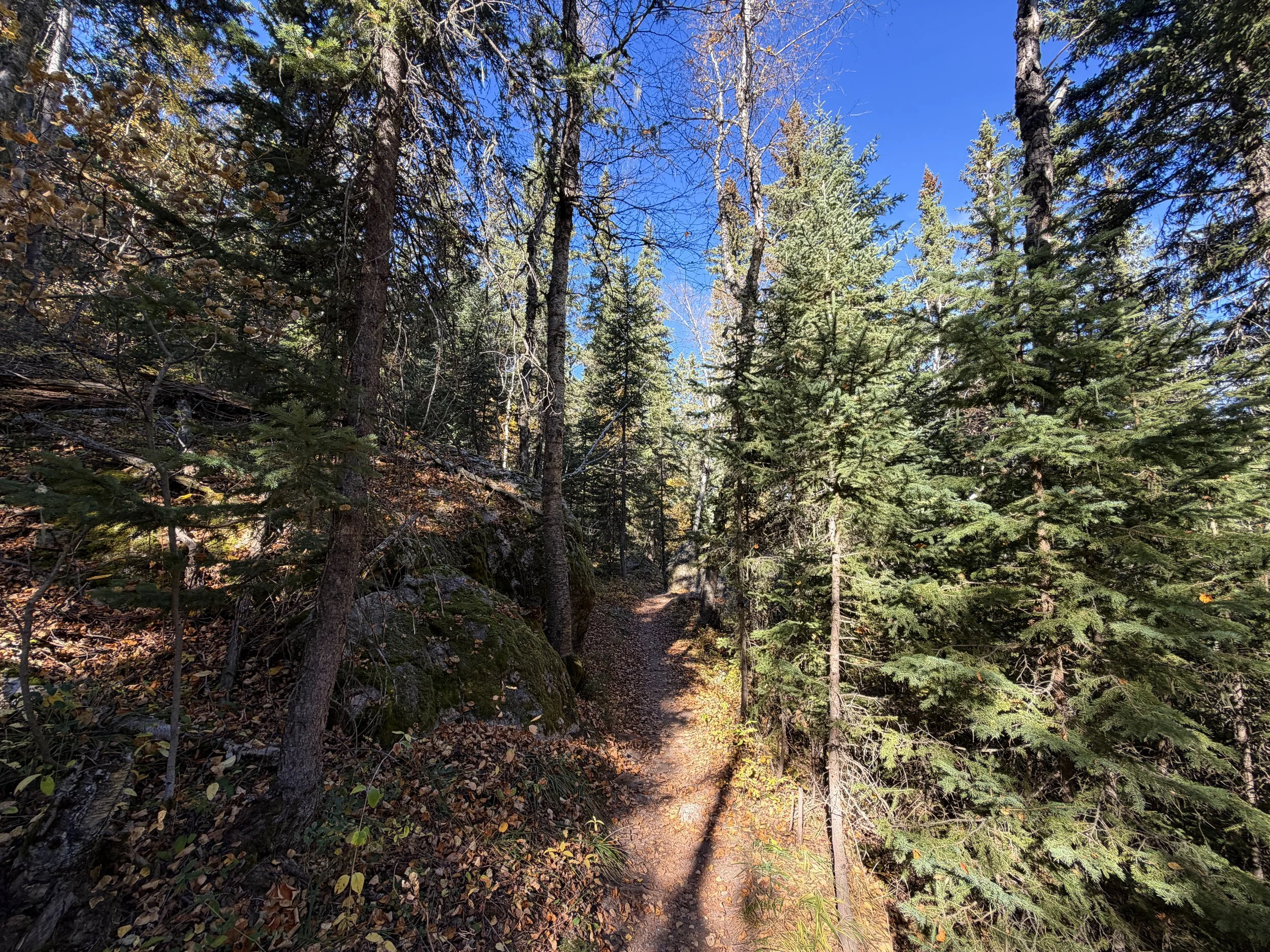 Sunday Gulch Hike Custer State Park Black Hills South Dakota