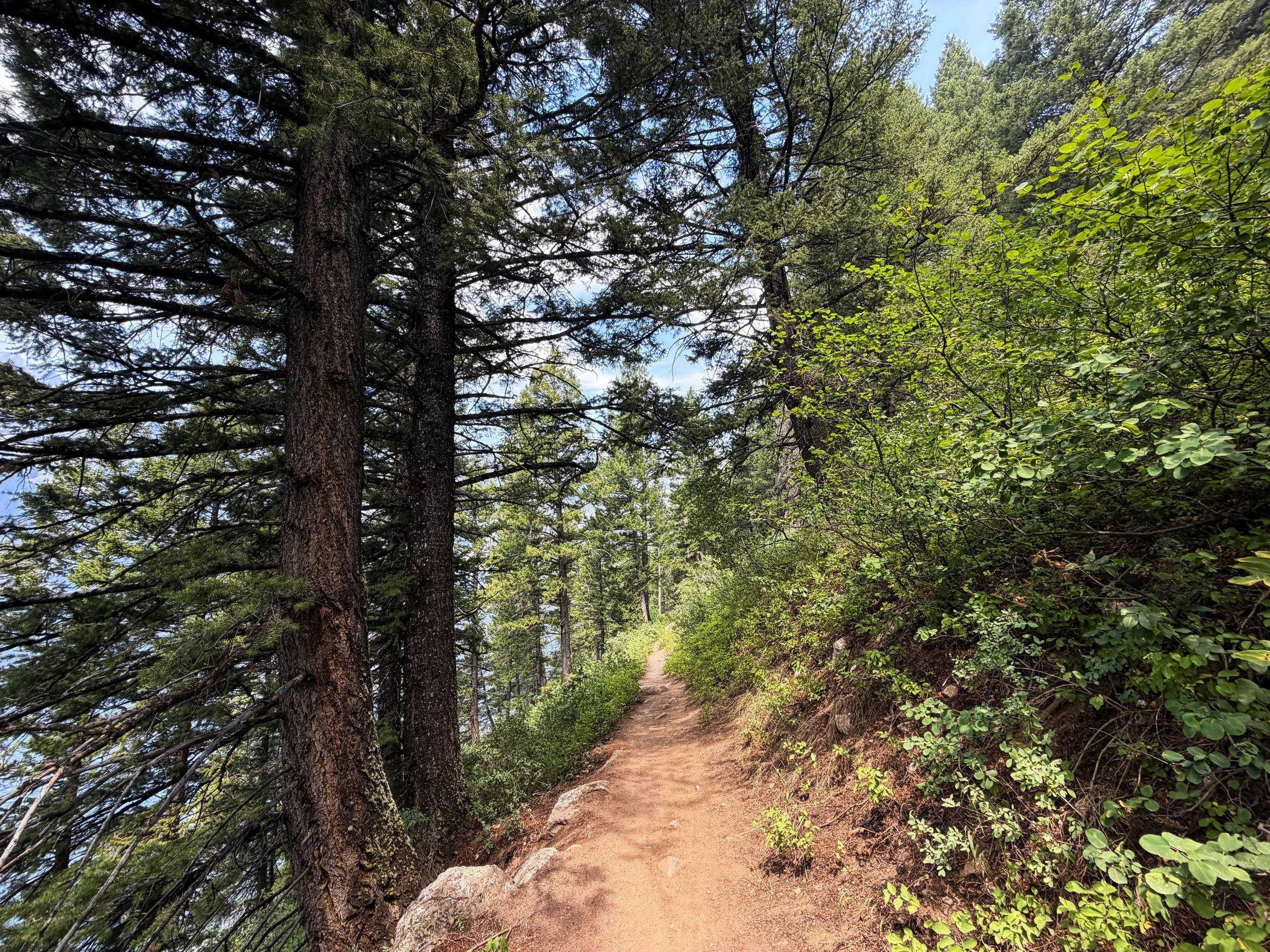 Phelps Lake Trail to Jumping Rock Grand Teton National Park Wyoming