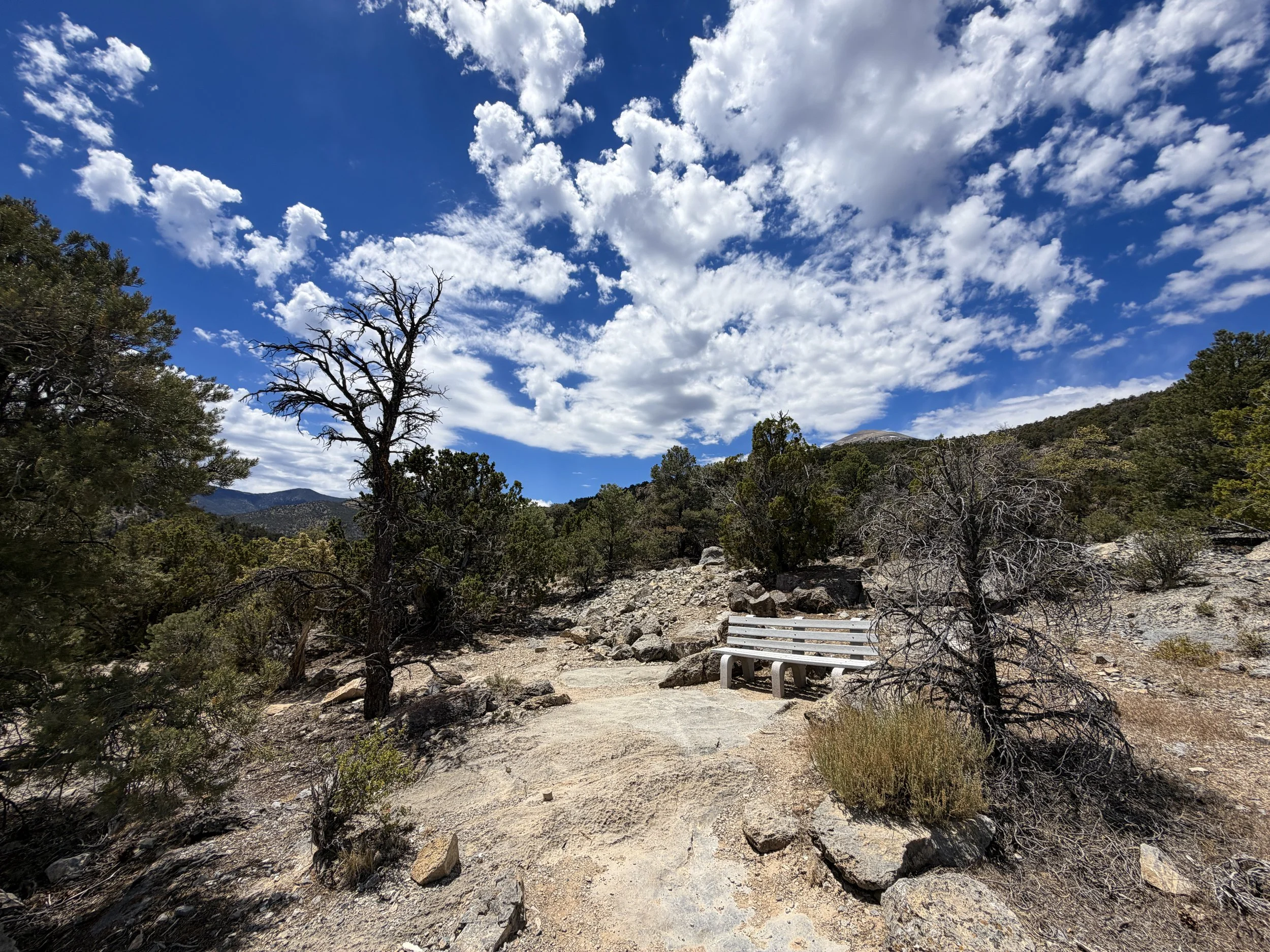 Mountain View Nature Hike Great Basin National Park Nevada