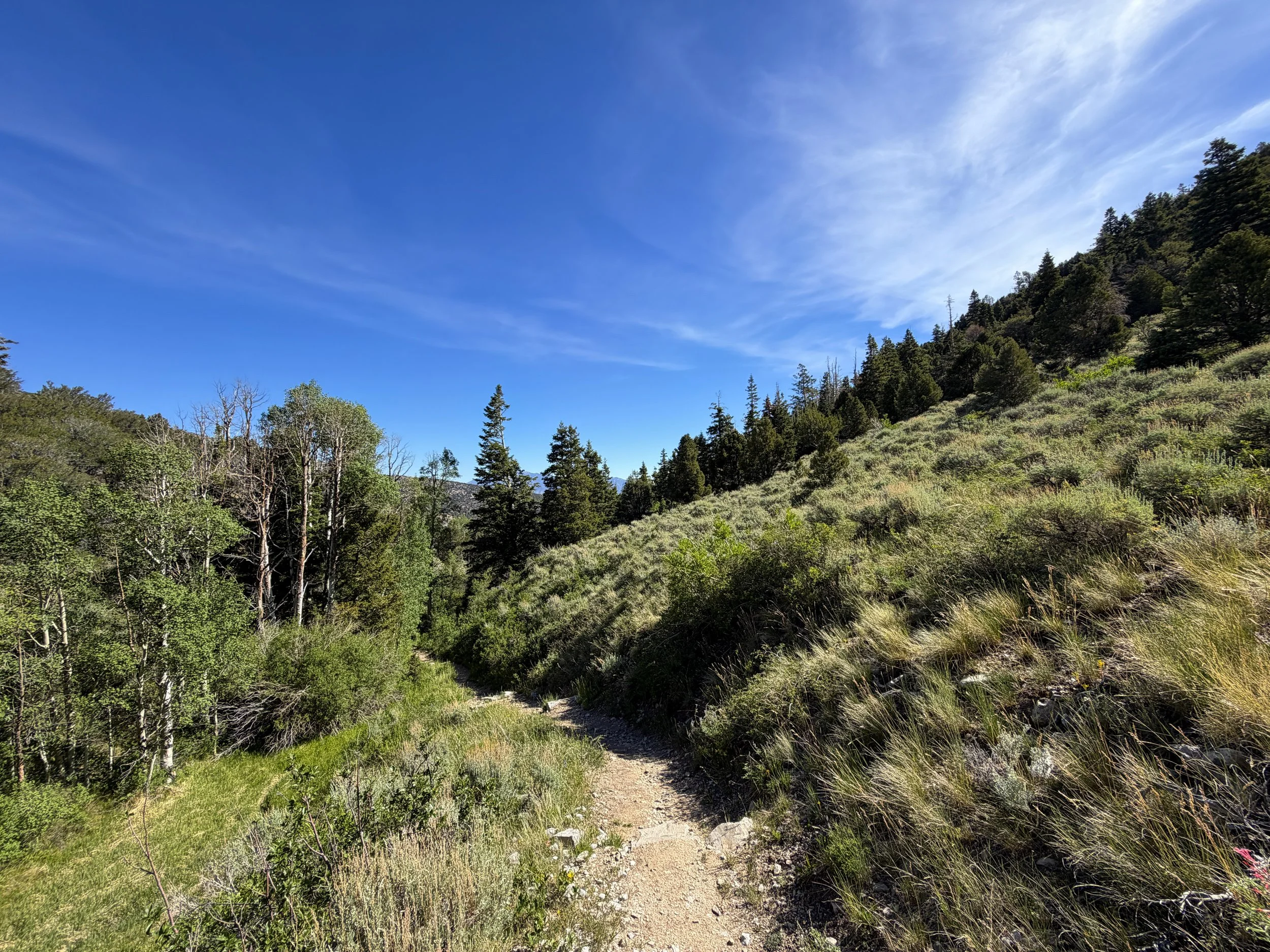 Pole Canyon Loop Hike Great Basin National Park Nevada