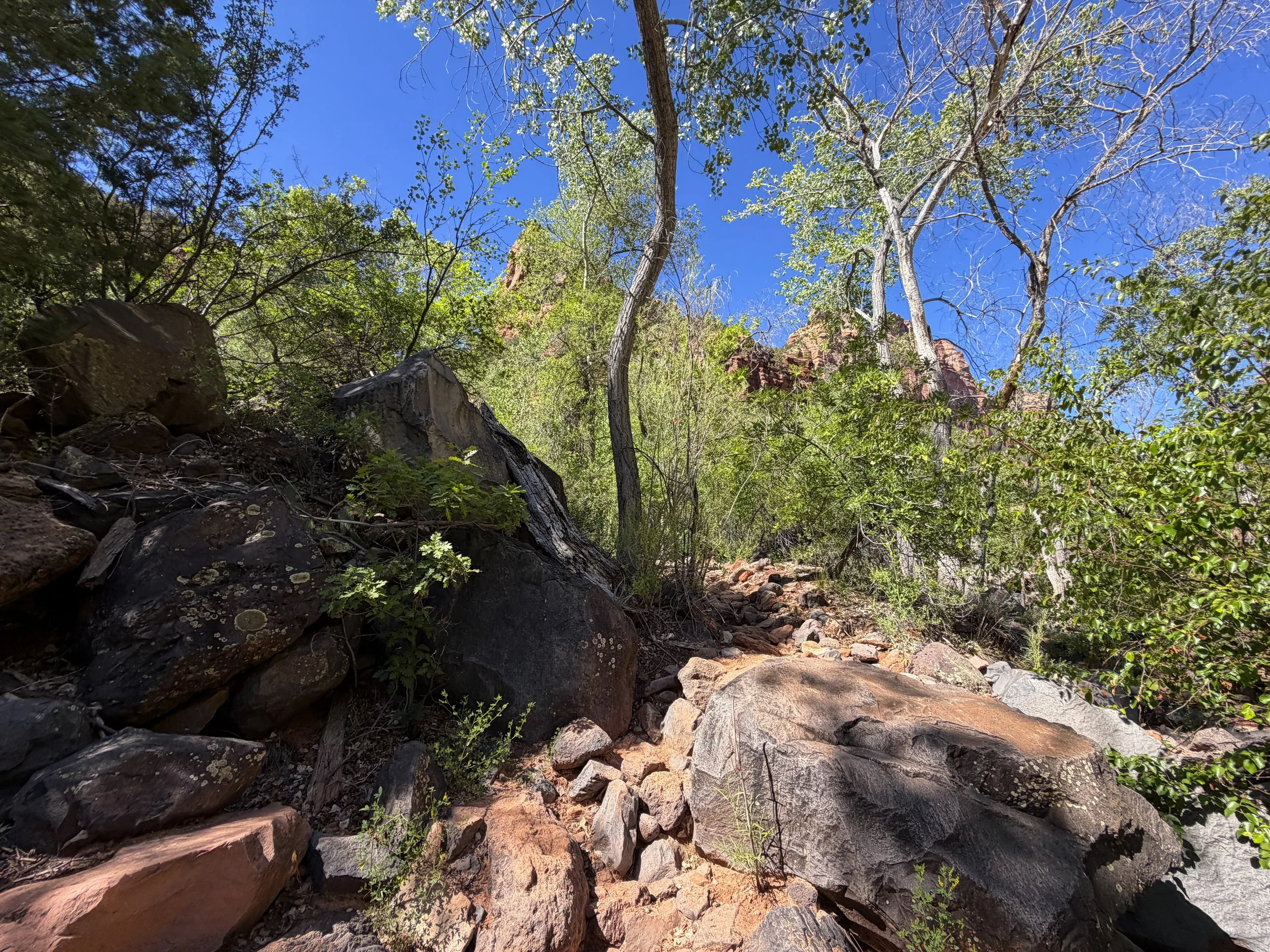 Subway Hike Zion National Park Utah