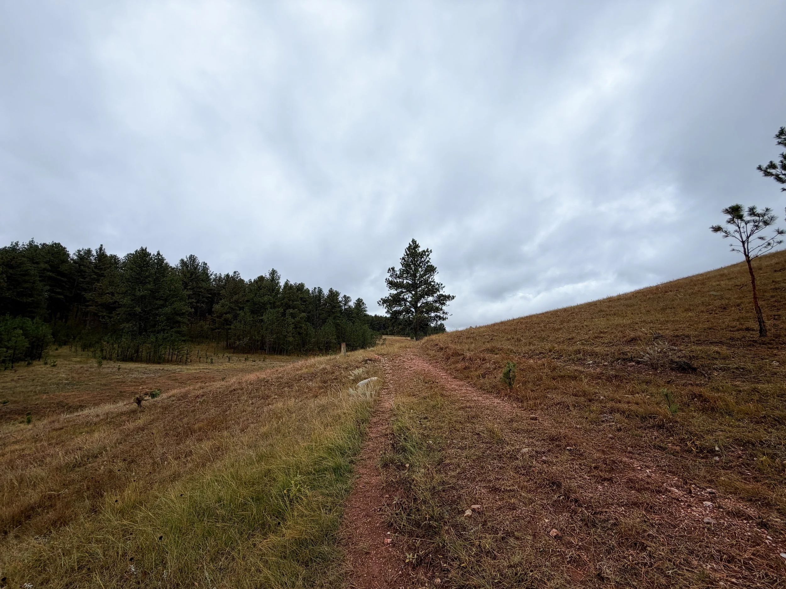 Highland Creek Hike Wind Cave National Park South Dakota