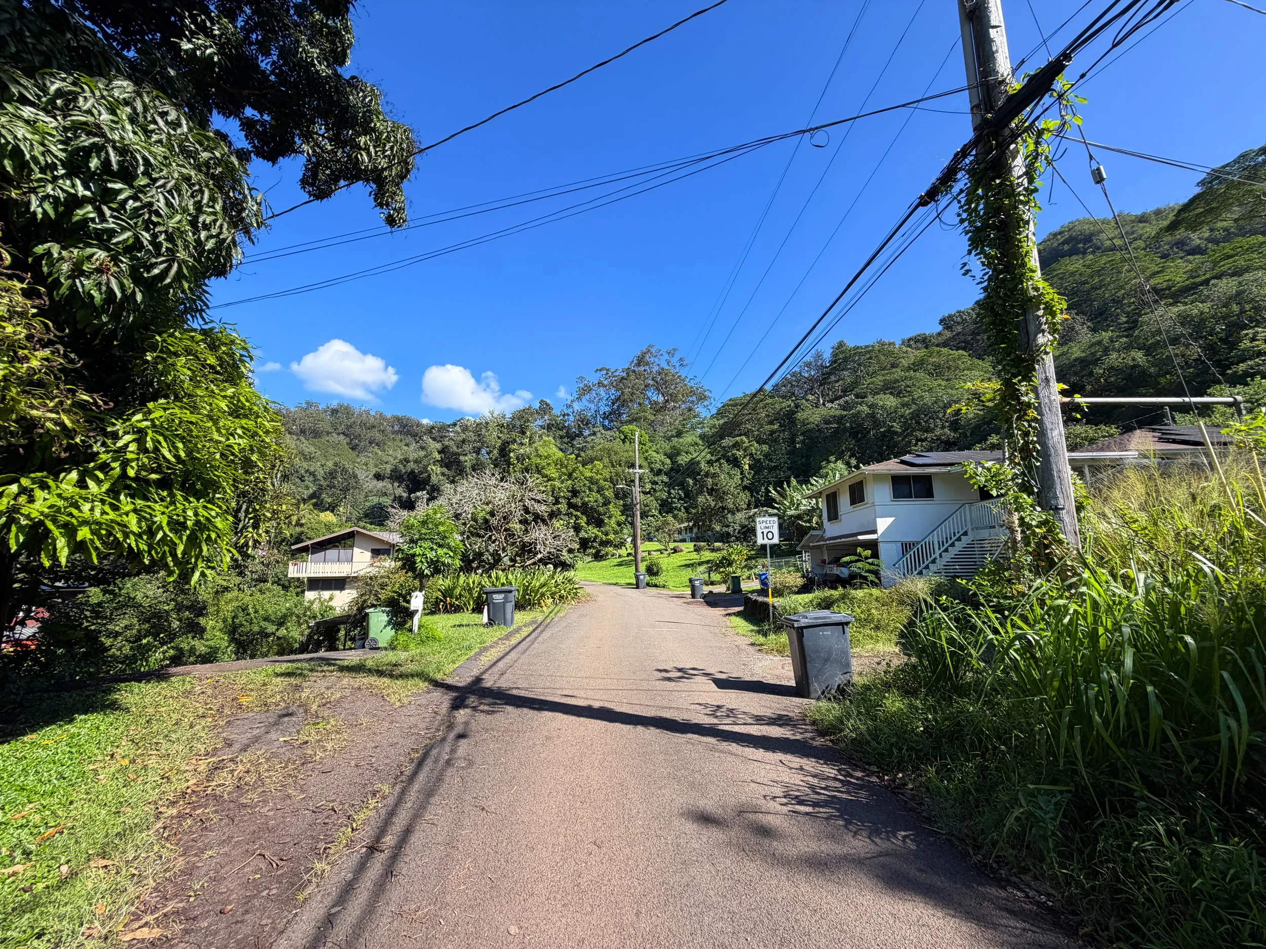 Walking to the Kaau Crater Trailhead Oahu Hawaii
