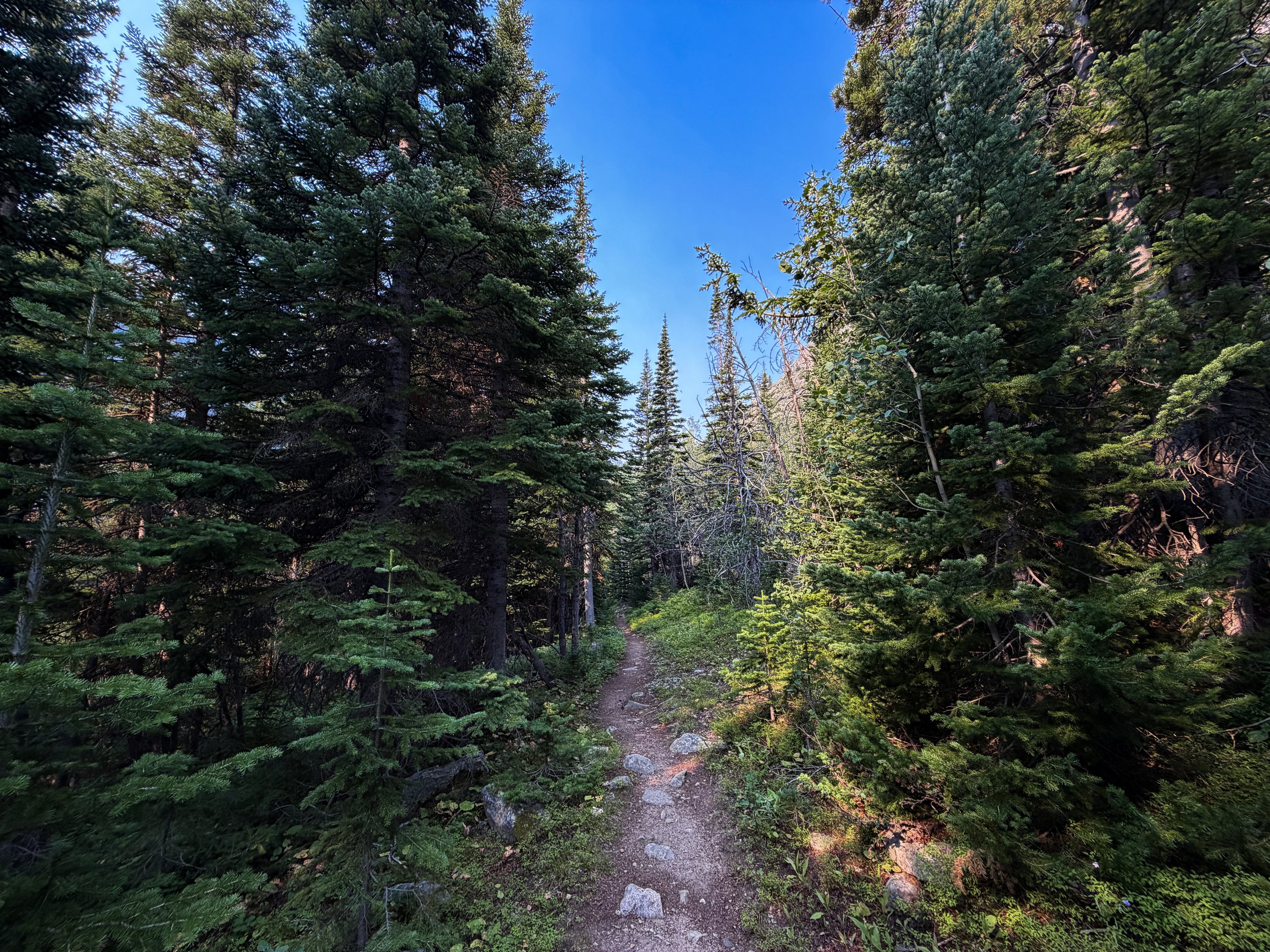 East Rosebud Trail Beaten Path Beartooth Mountains Montana