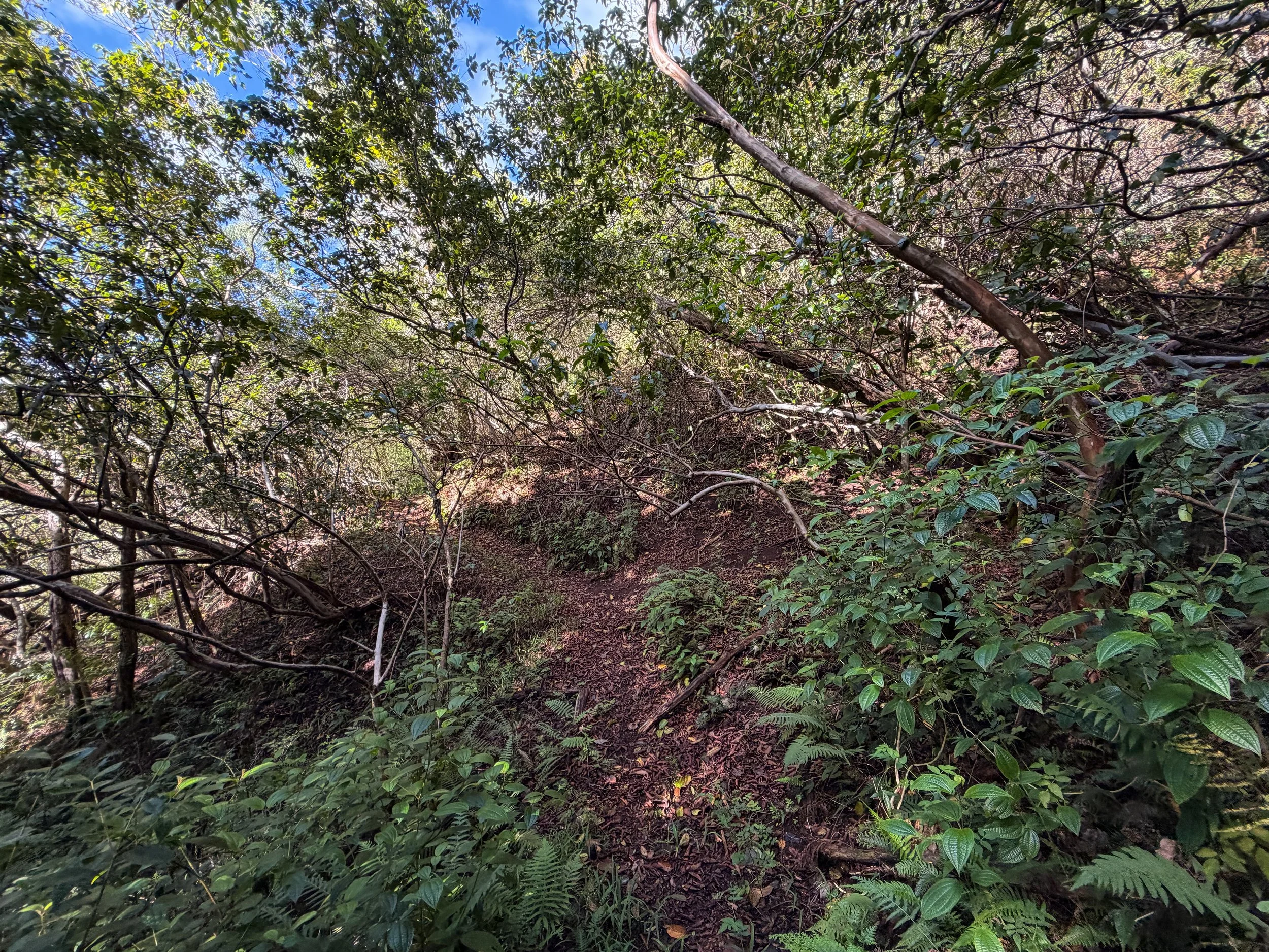 Mokuleia Trail Oahu Hawaii