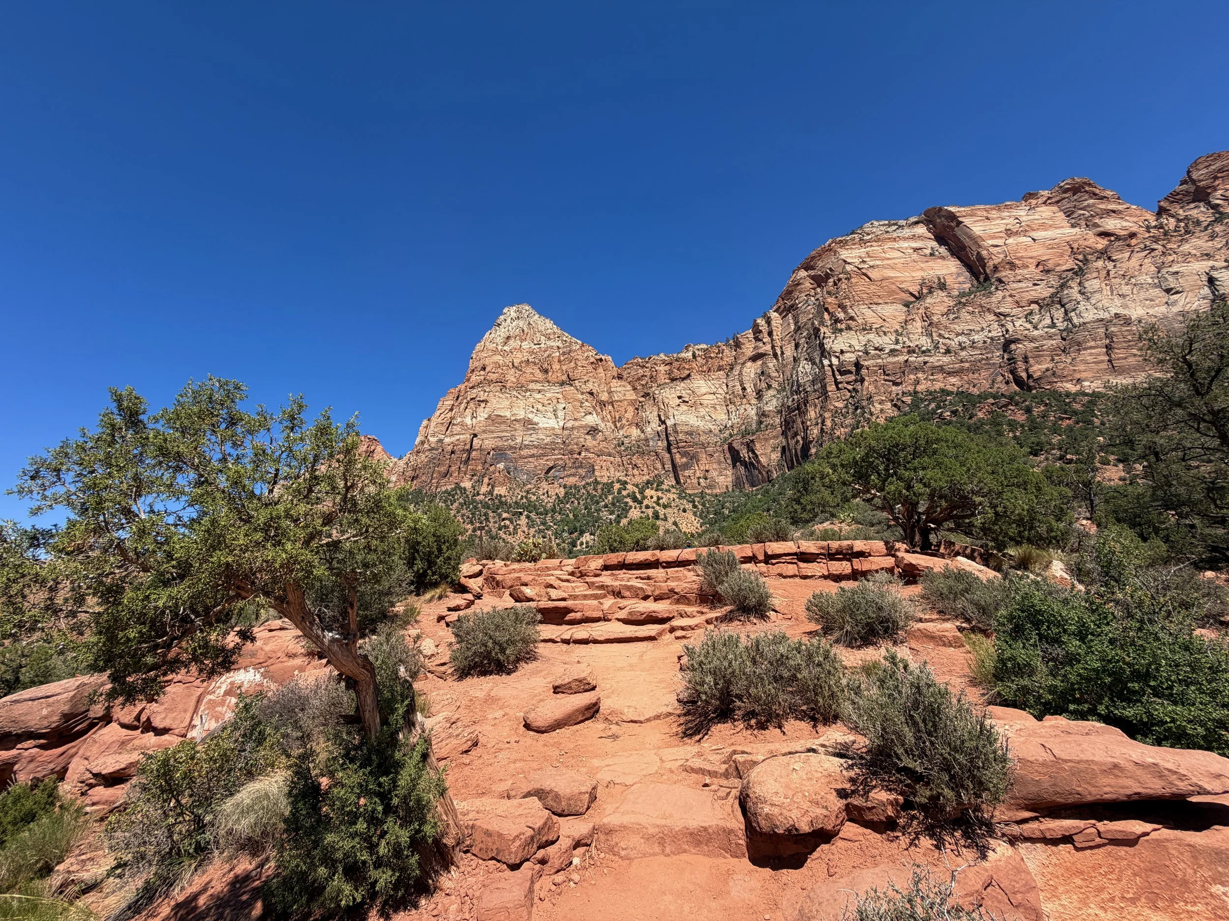 Watchman Trail Zion National Park Utah