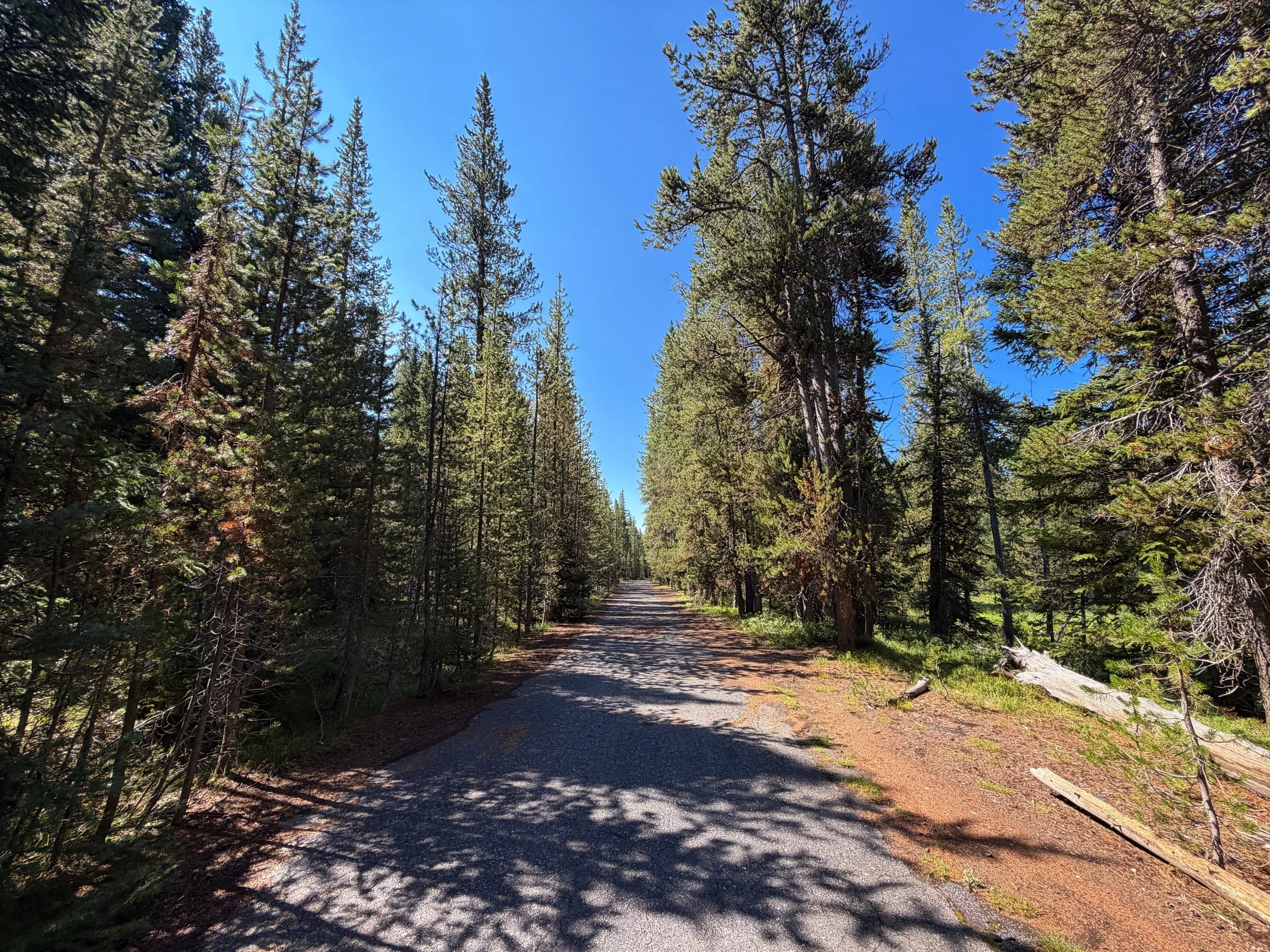 Lone Star Geyser Trail Yellowstone National Park Wyoming
