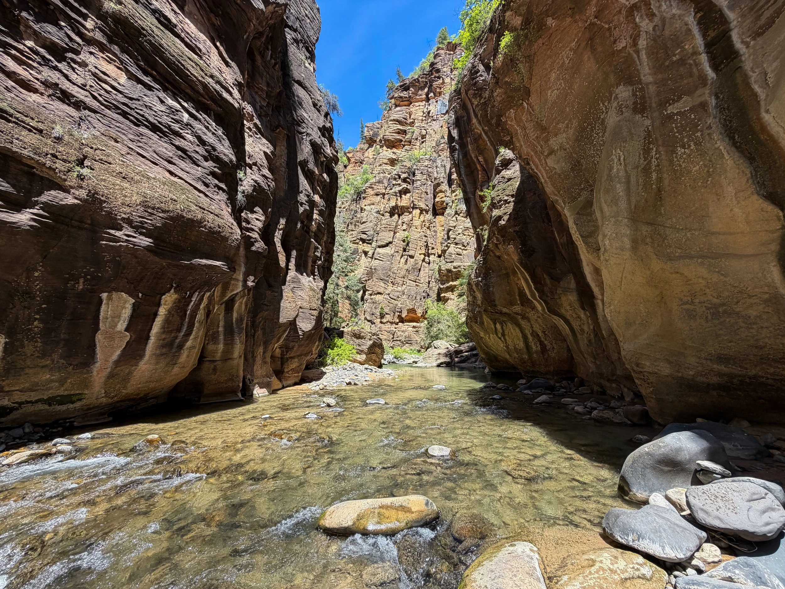 The Narrows Zion National Park Utah