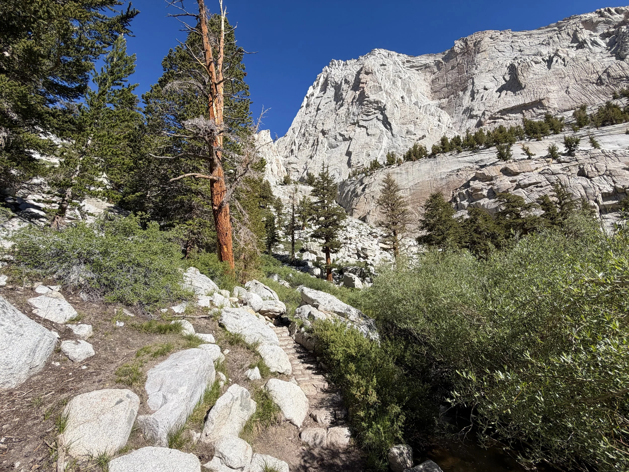 Mt. Whitney Trail Lone Pine California