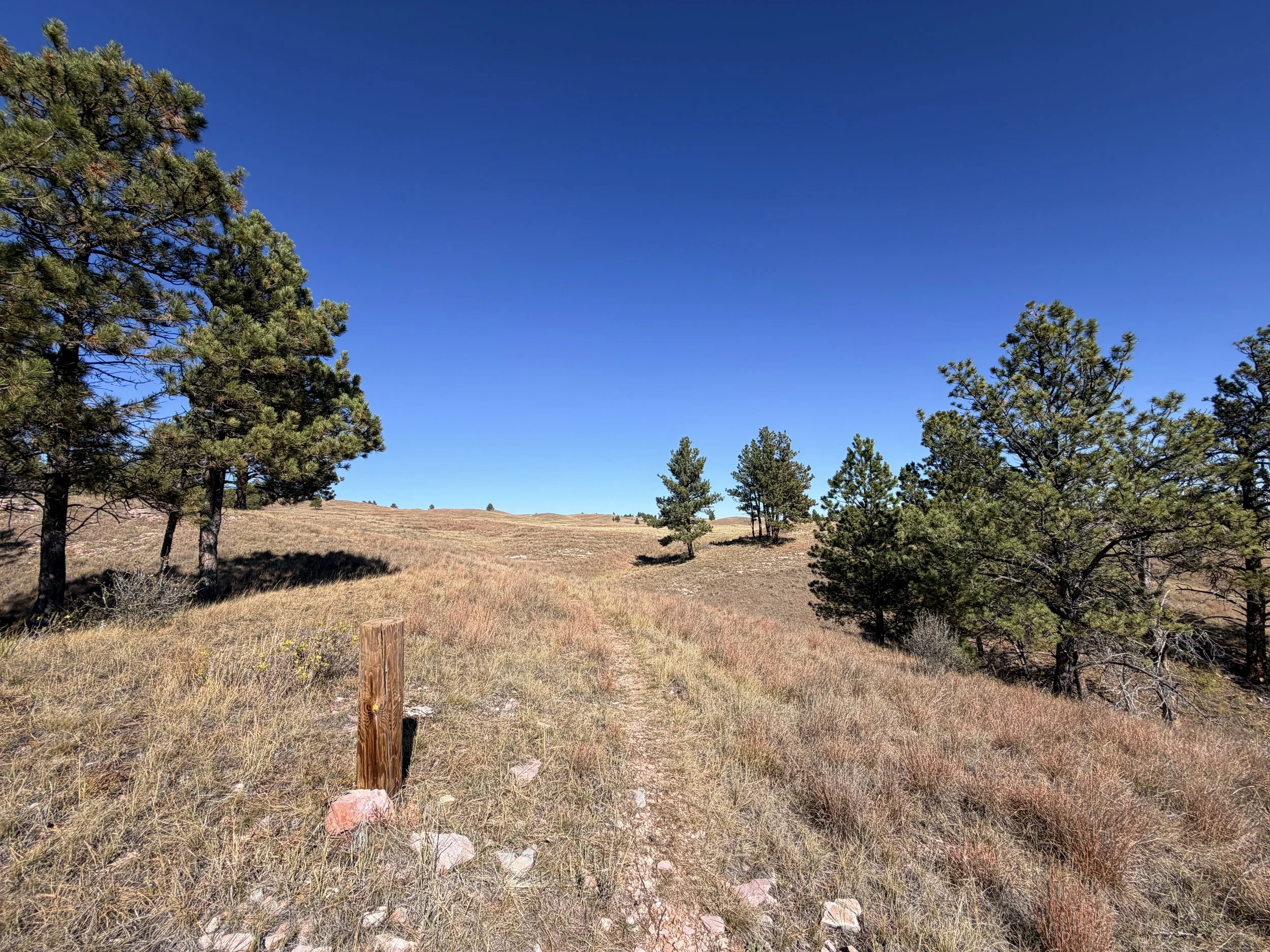 East Bison Flats Trail Wind Cave National Park South Dakota