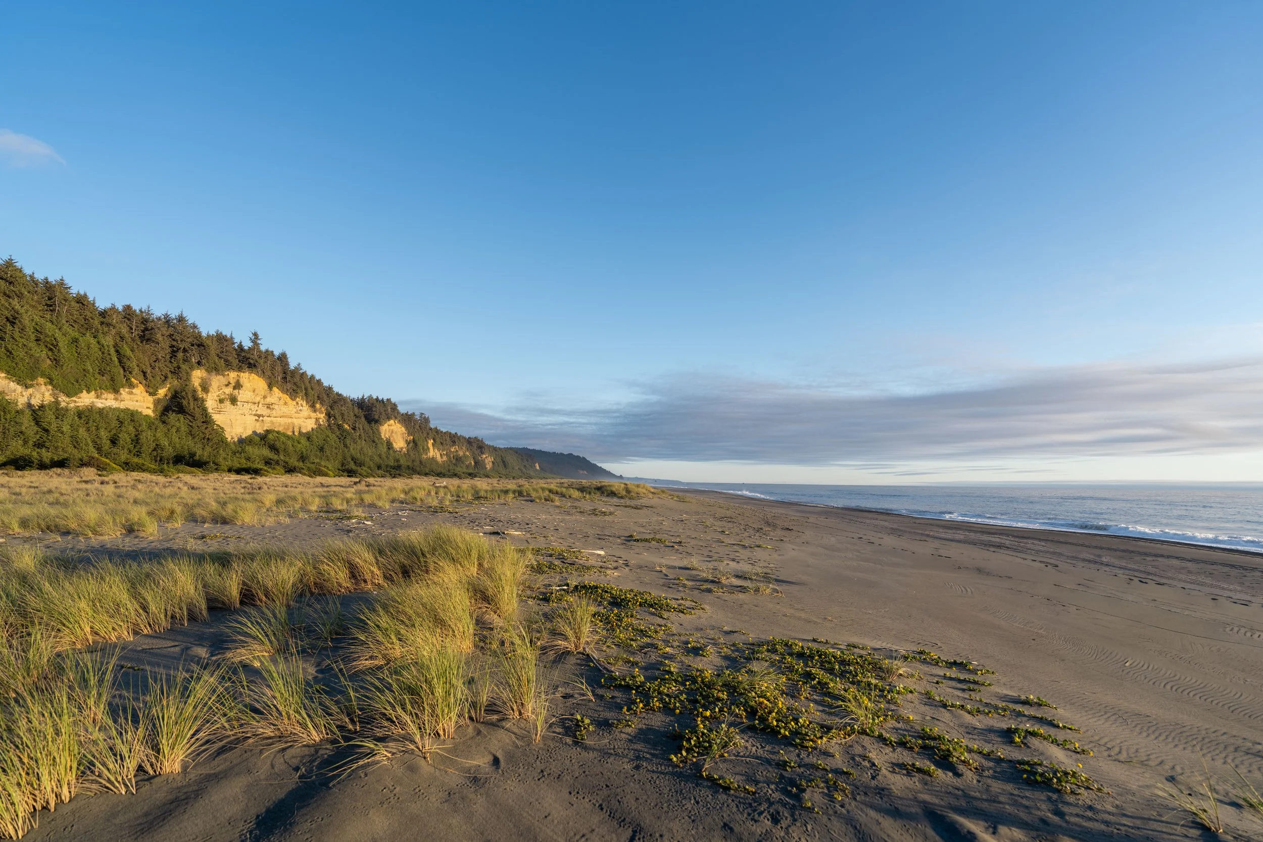 Gold Bluffs Beach Prairie Creek Redwoods State Park California