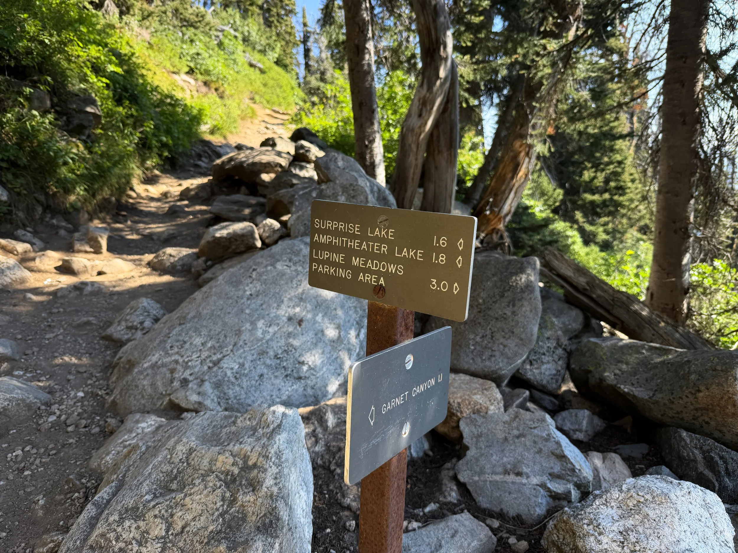 Delta Lake Trail via Lupine Meadows Grand Teton National Park Wyoming
