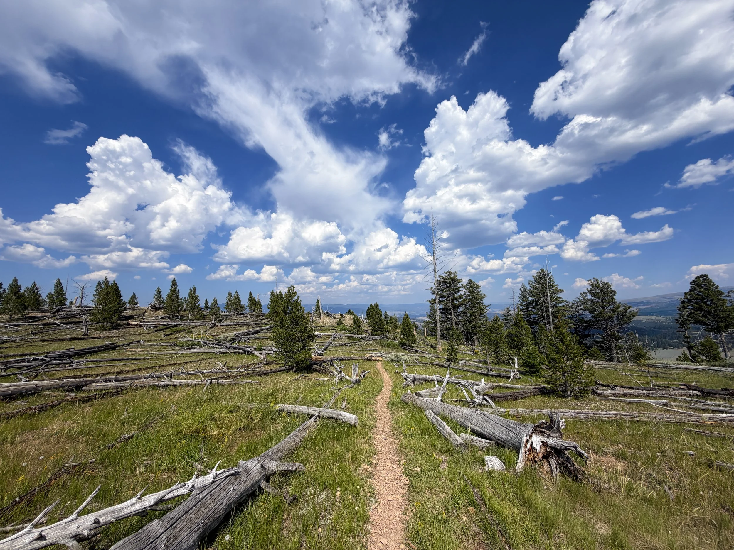Bunsen Peak Trail Yellowstone National Park Wyoming