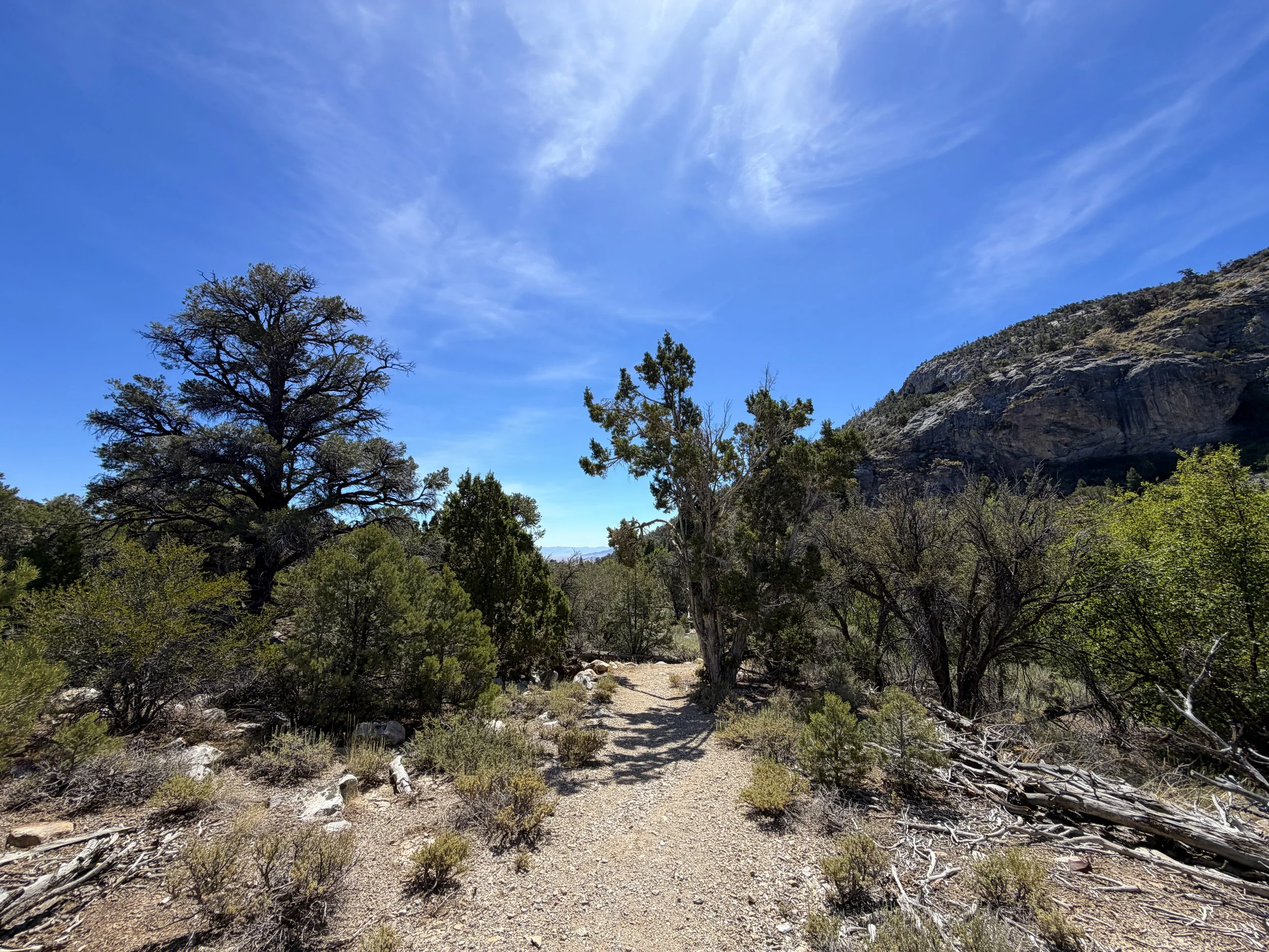 Pole Canyon Loop Trail Great Basin National Park Nevada