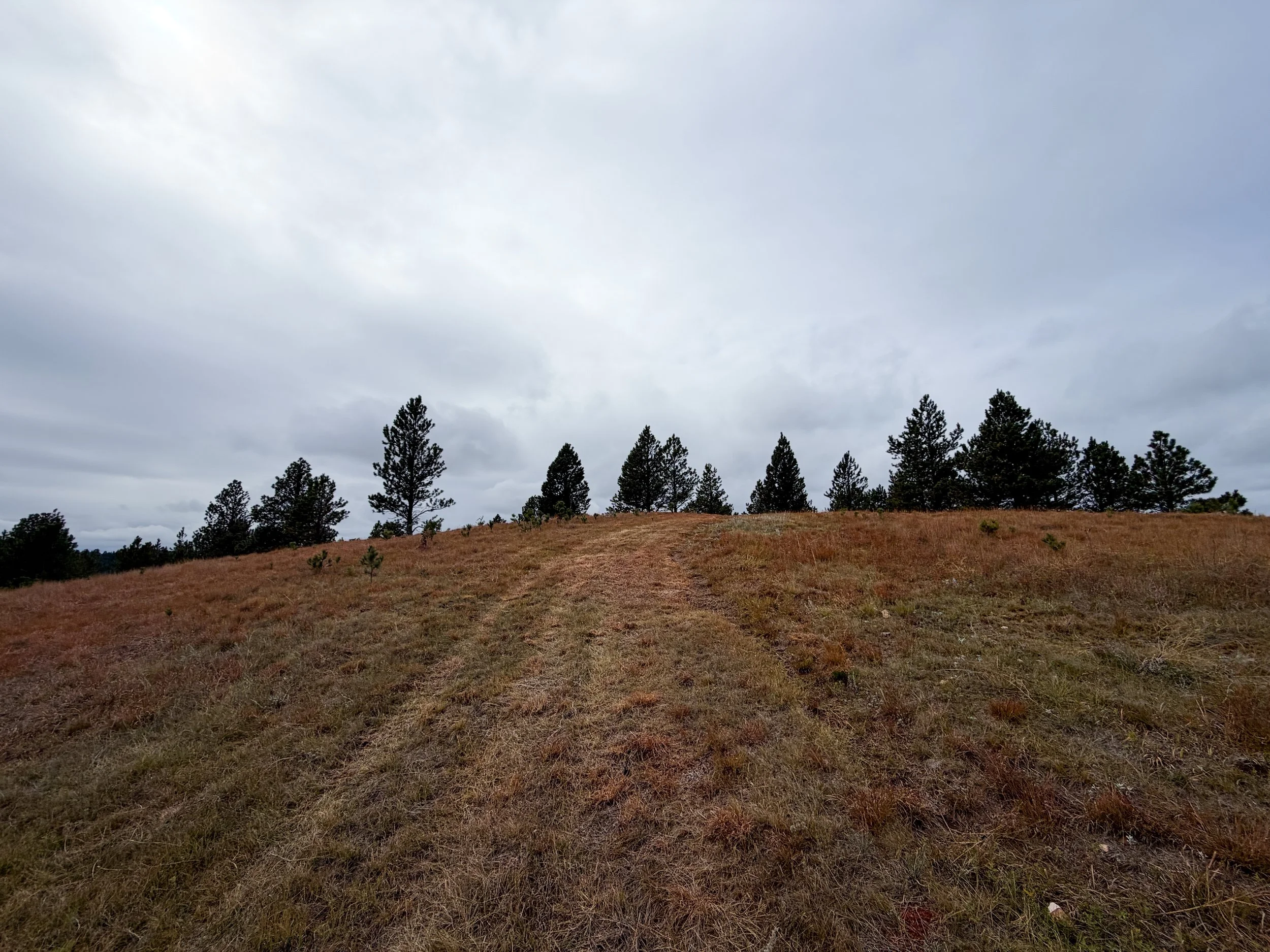 Highland Creek Trail to Wind Cave Canyon Wind Cave National Park South Dakota