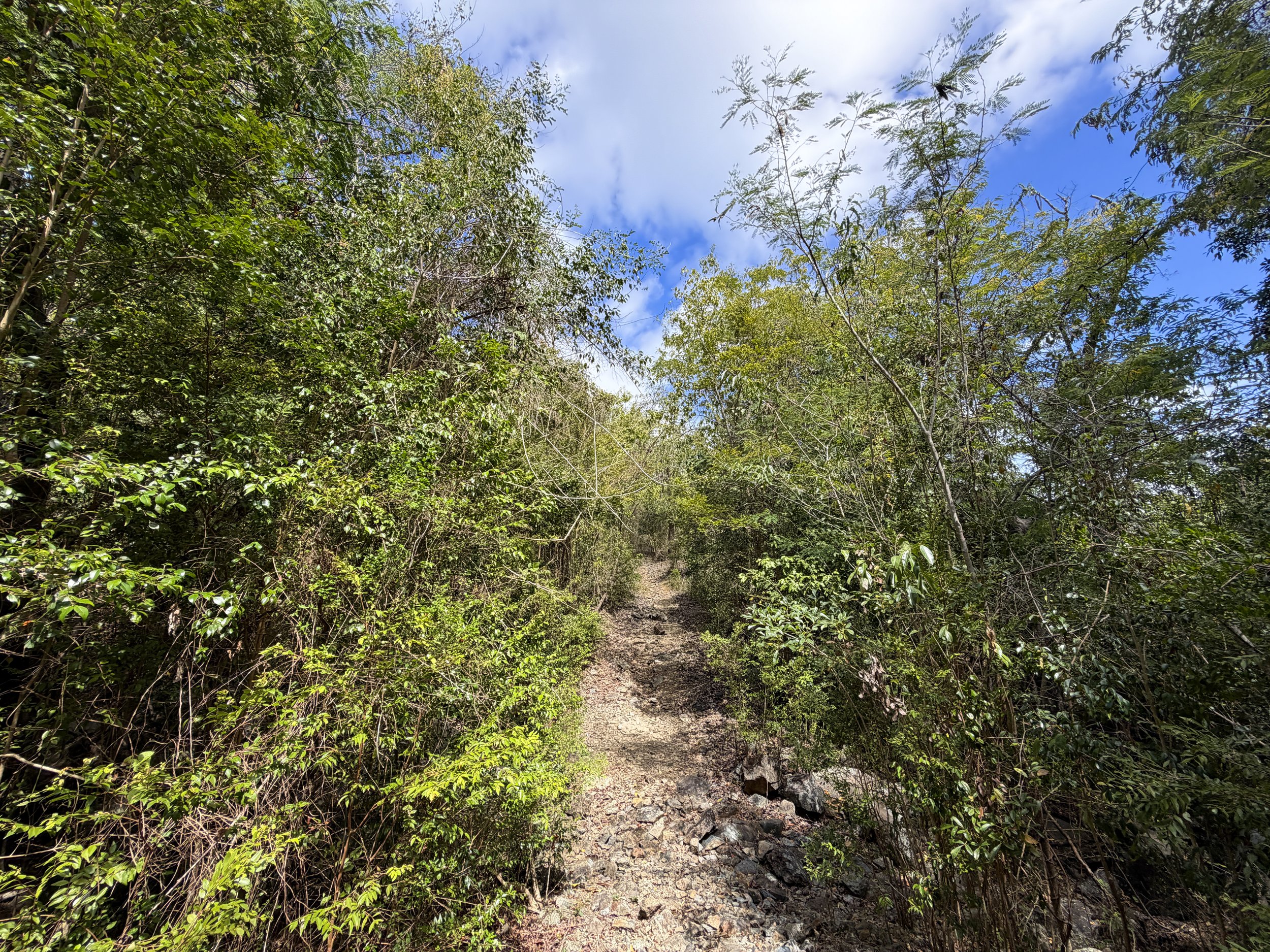 Johnny Horn Hike Virgin Islands National Park