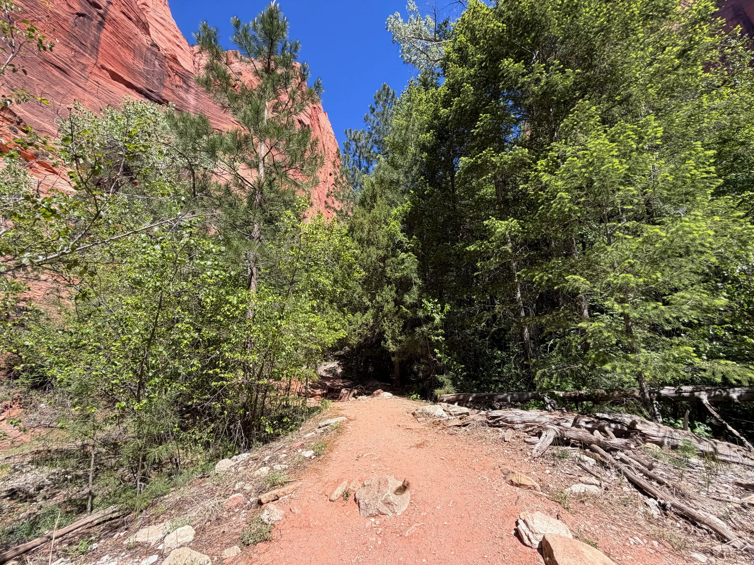 Taylor Creek Hike Zion National Park Utah