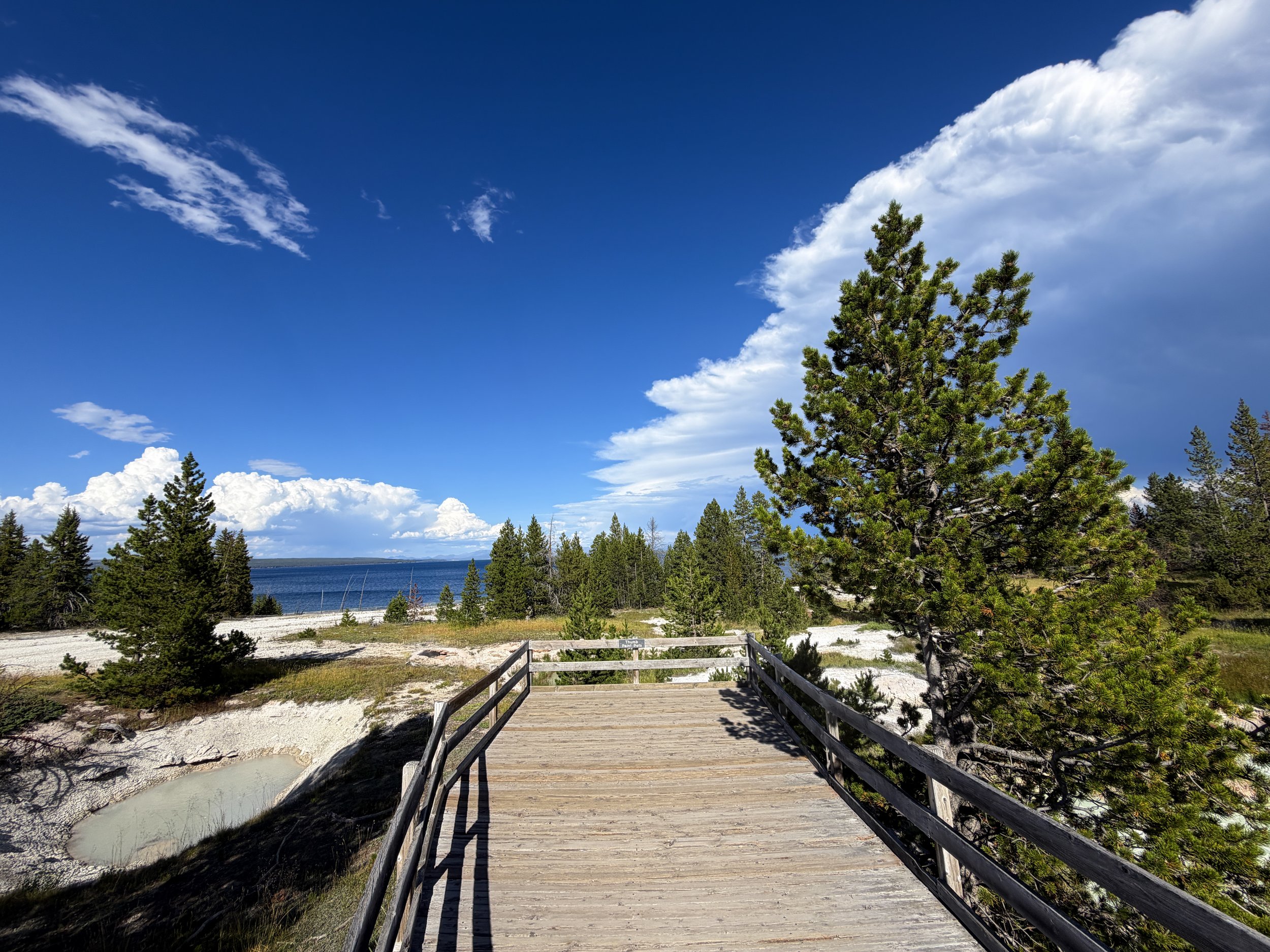 West Thumb Geyser Basin Trail Yellowstone National Park Wyoming