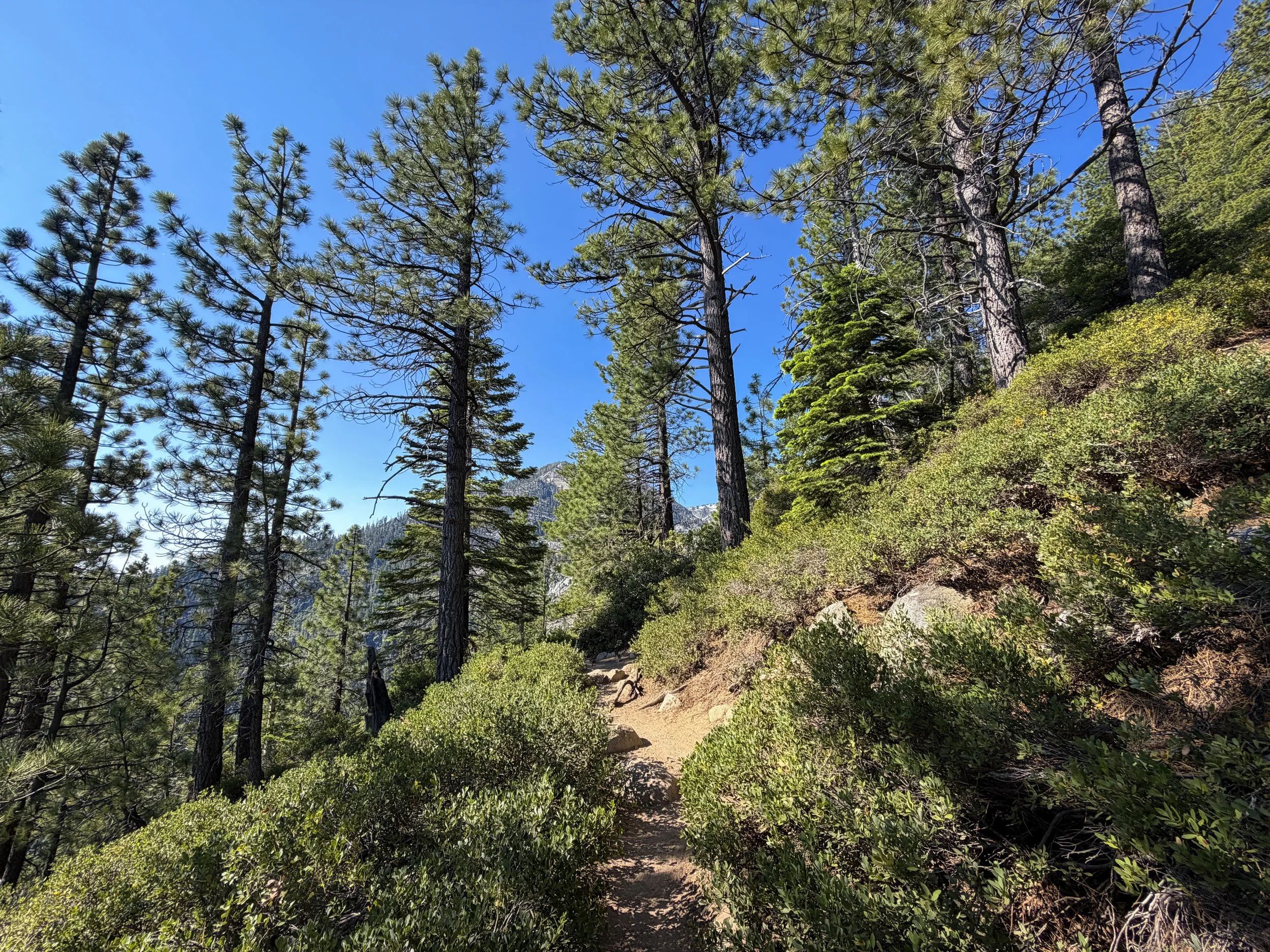 Cascade Falls Hike Lake Tahoe California