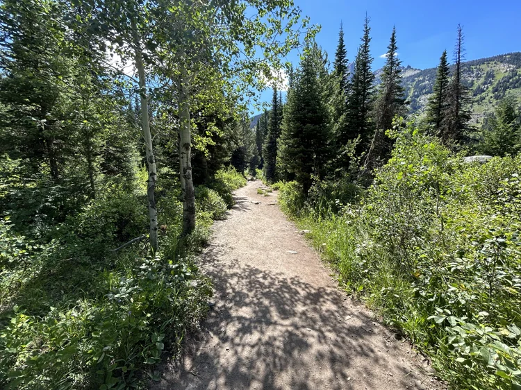 Hiking the Inspiration Point Trail via Jenny Lake Visitor Center in ...