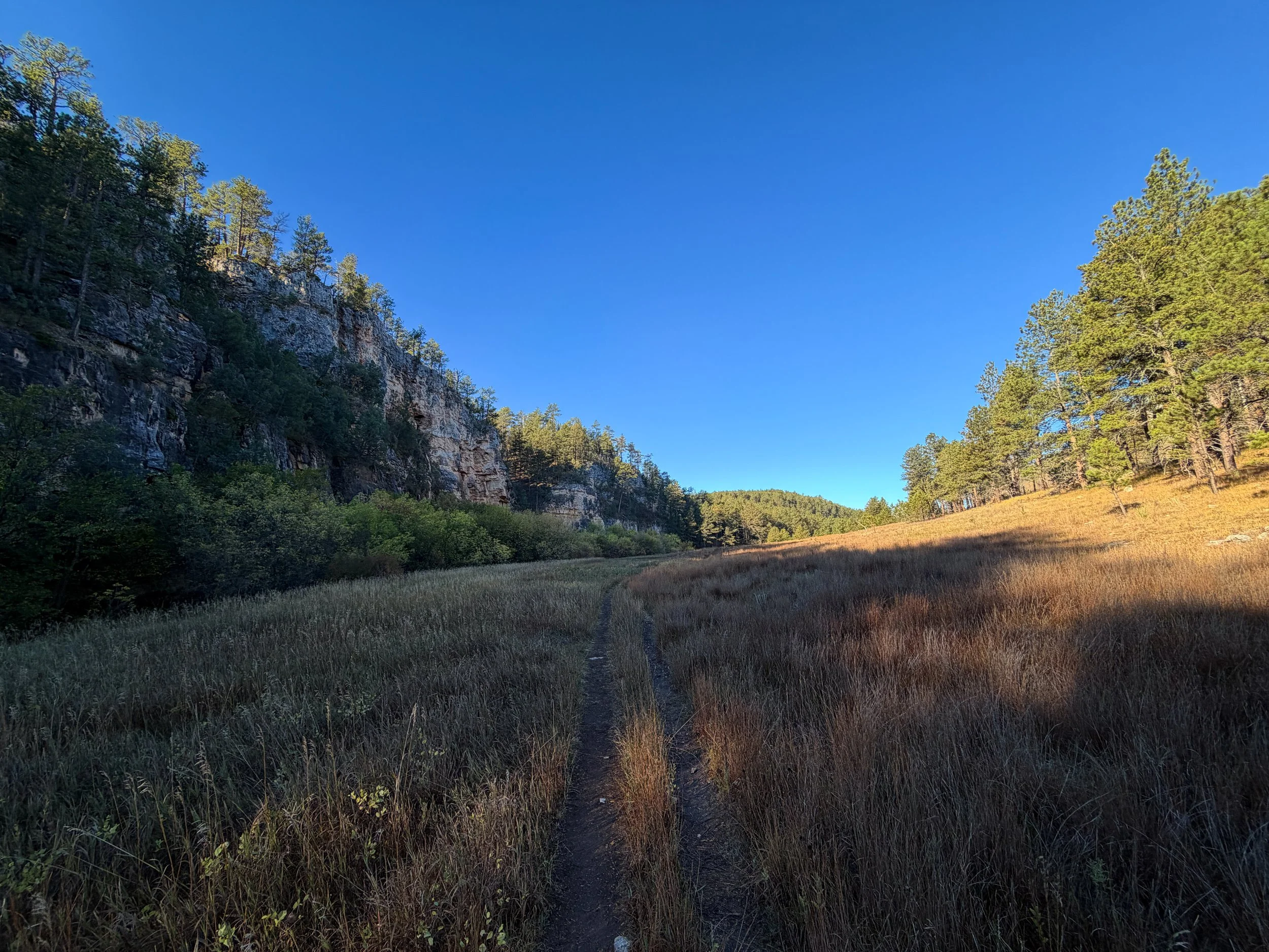 Cold Brook Canyon Trail Wind Cave National Park South Dakota