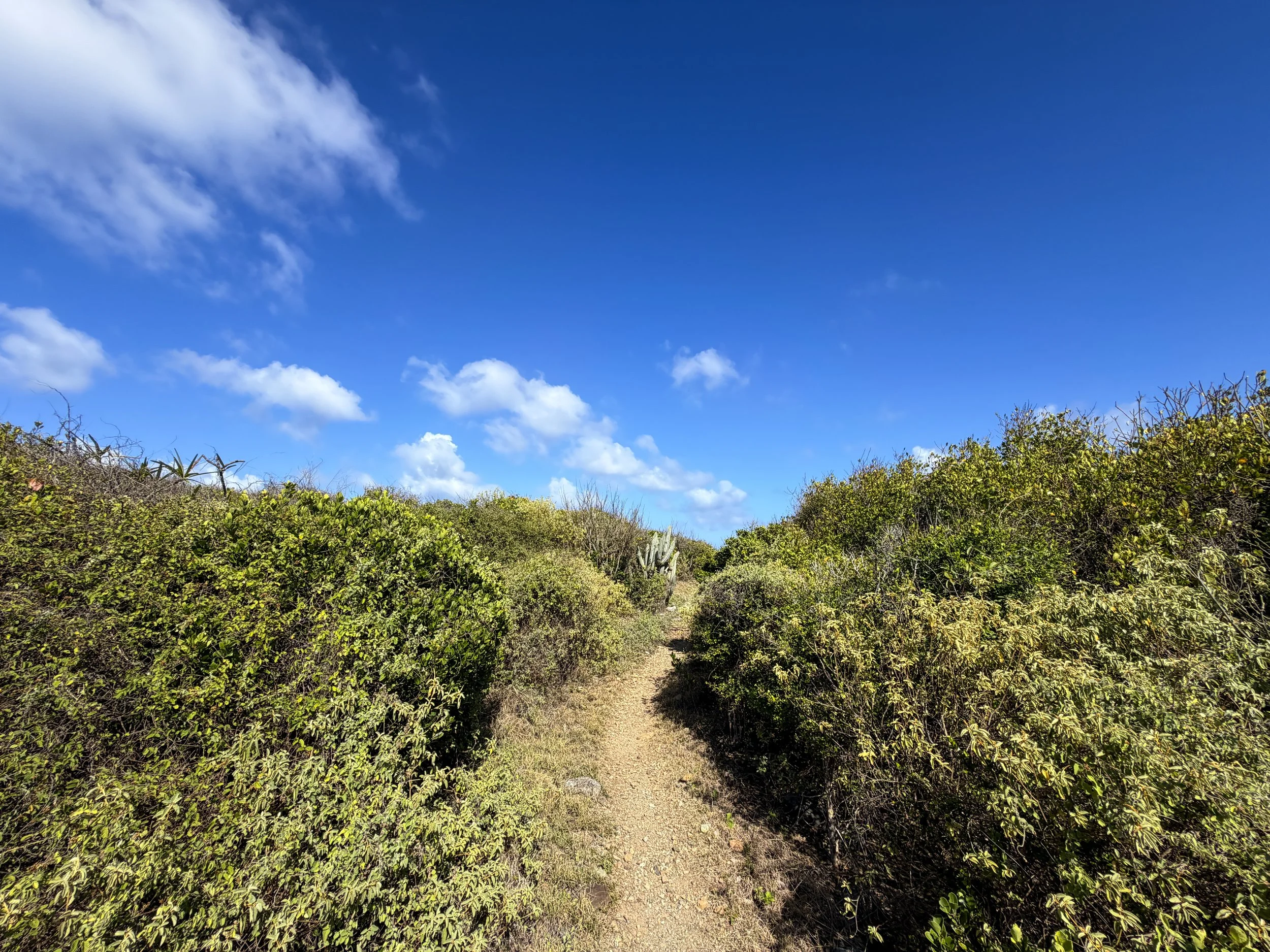 Drunk Bay Trail Virgin Islands National Park