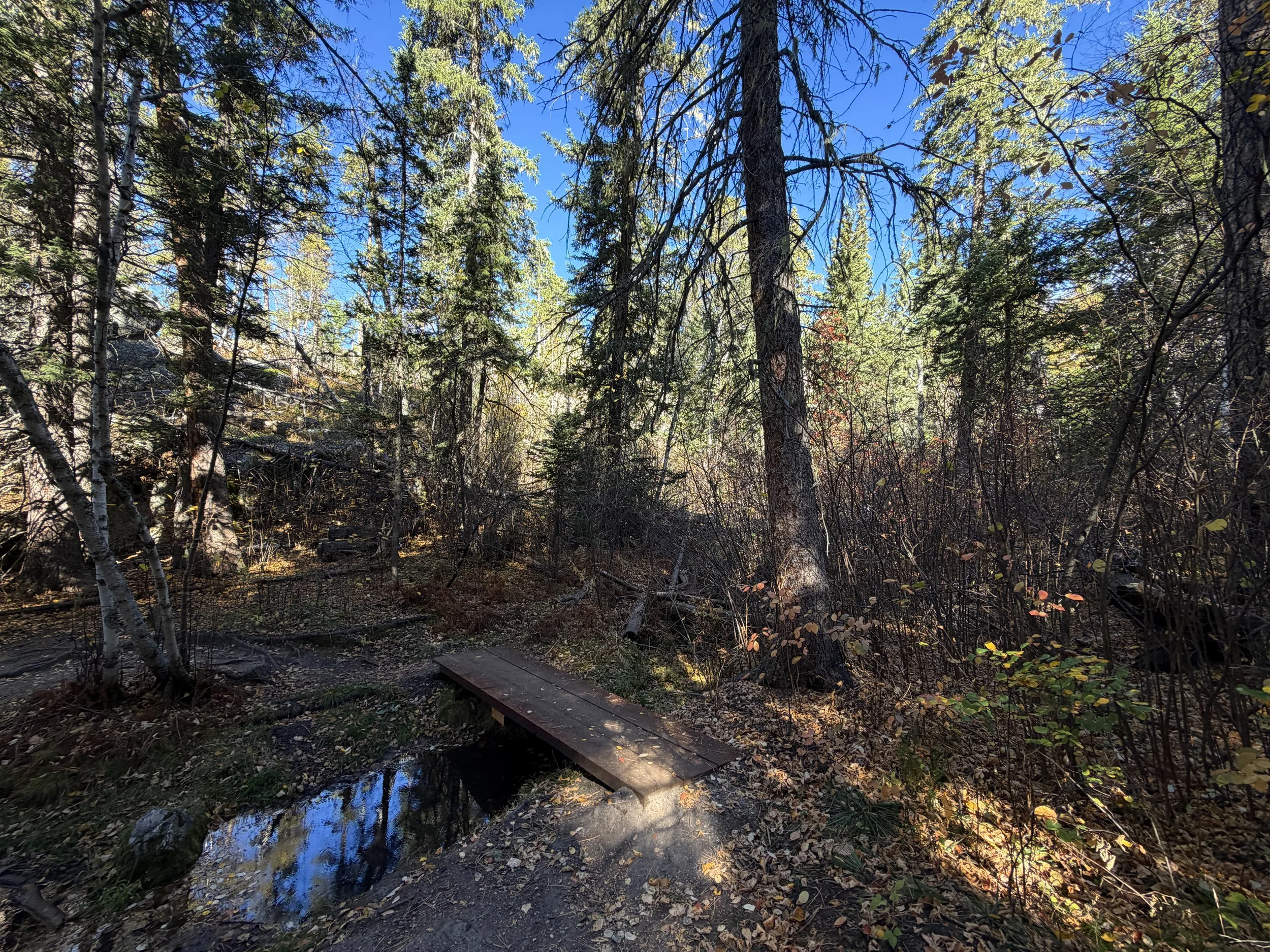 Sunday Gulch Hike Custer State Park Black Hills South Dakota