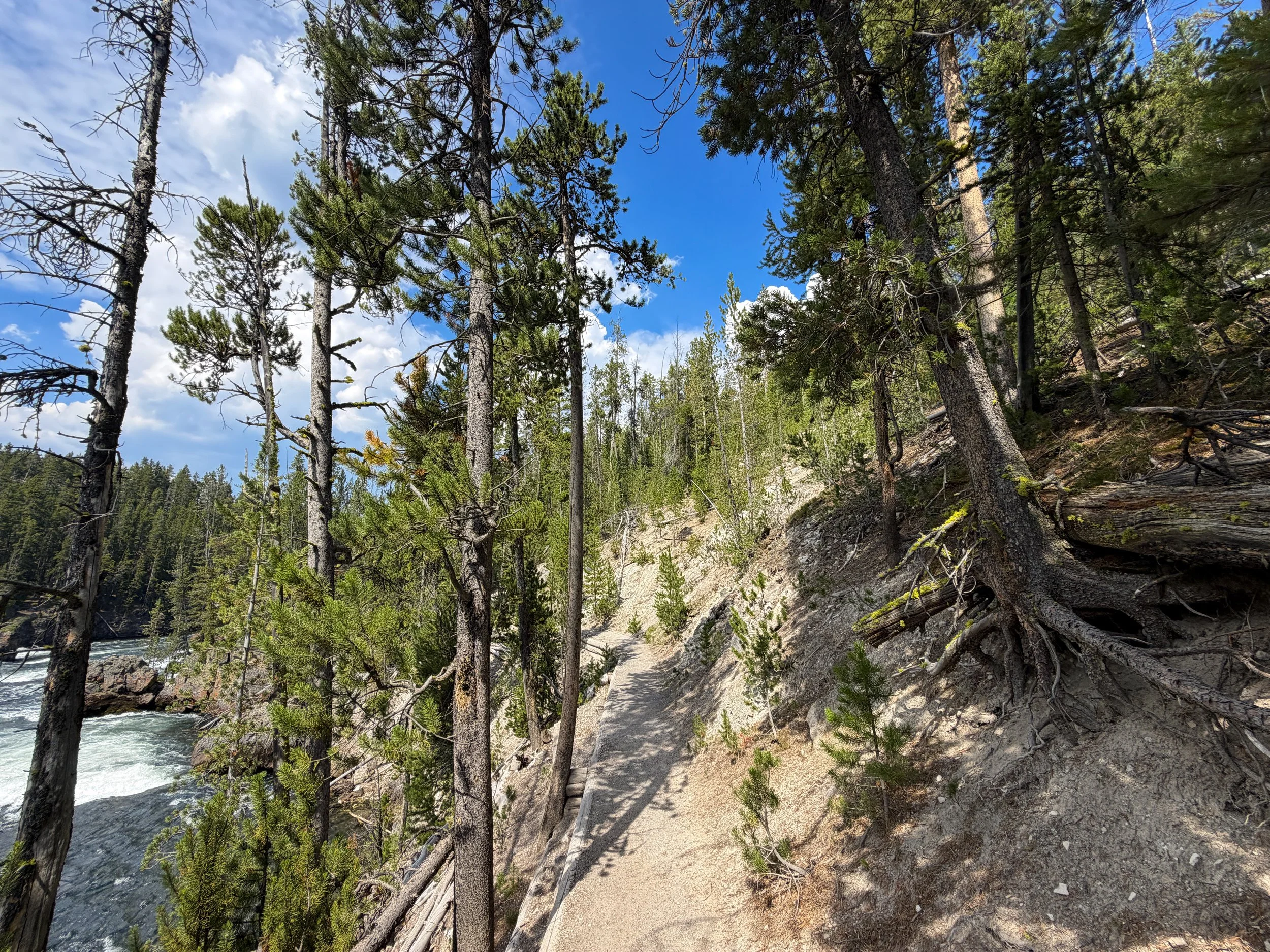 South Rim Trail Yellowstone National Park Wyoming