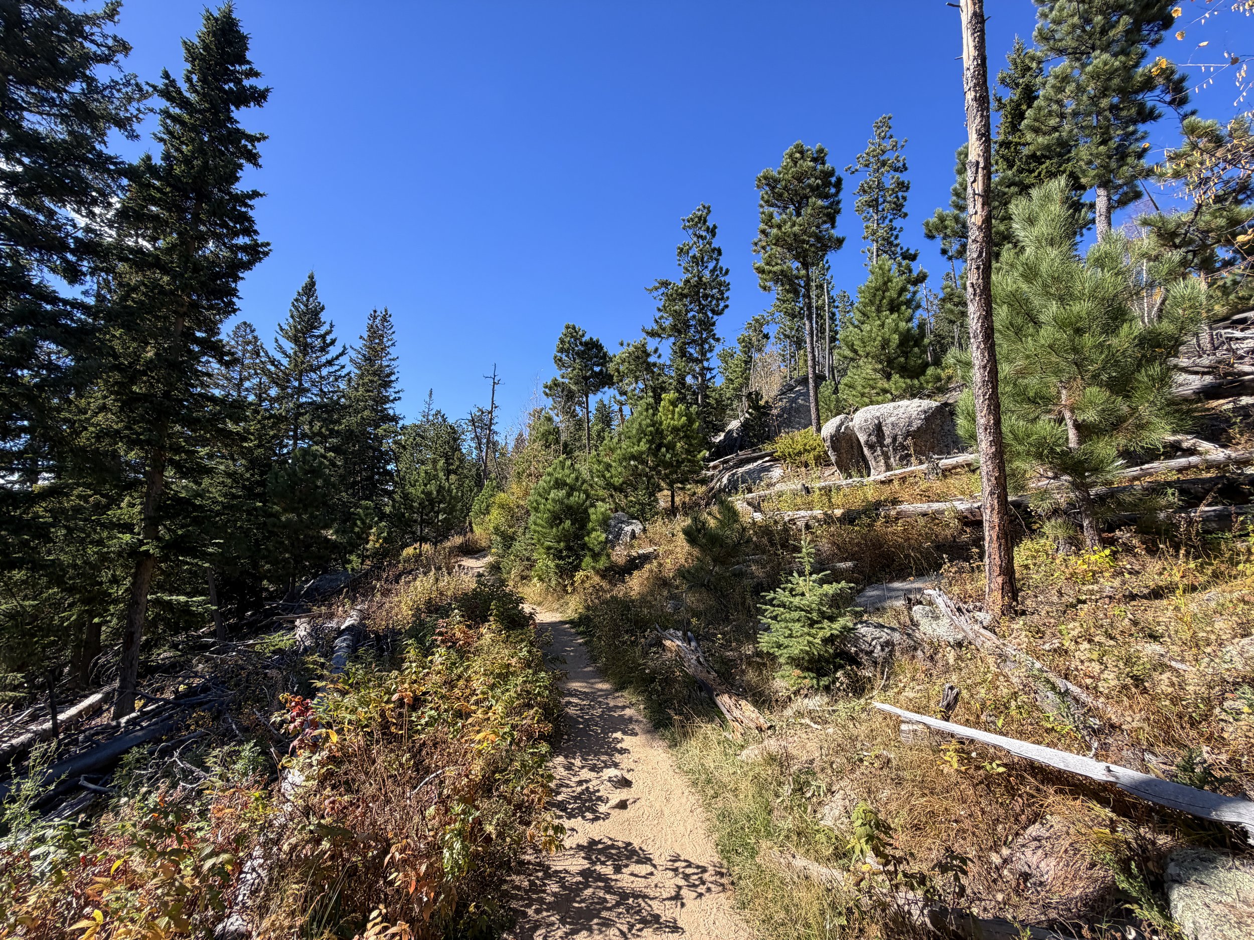 Black Elk Peak Hike via Custer State Park Black Hills South Dakota