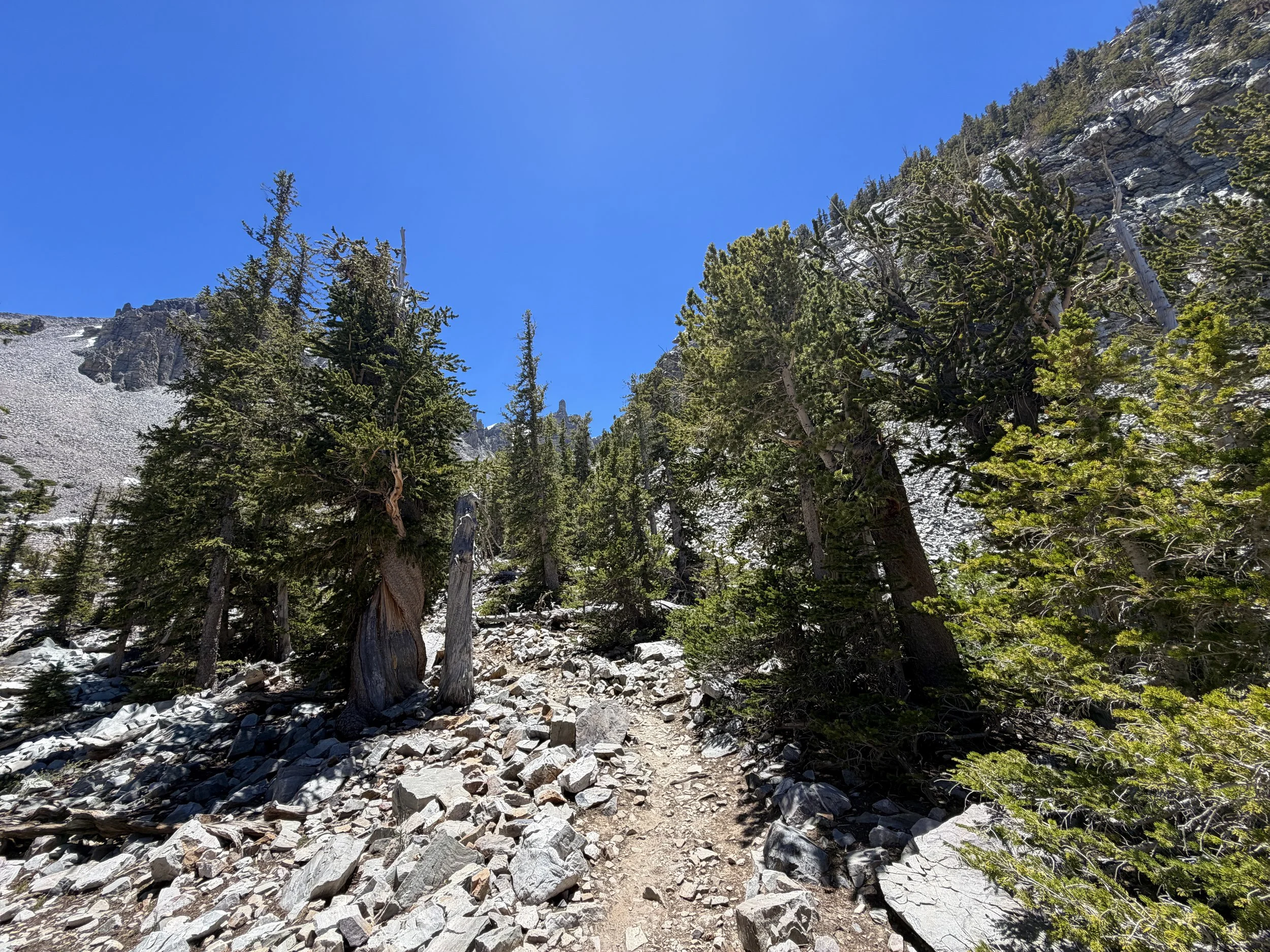 Glacier Trail Great Basin National Park Nevada