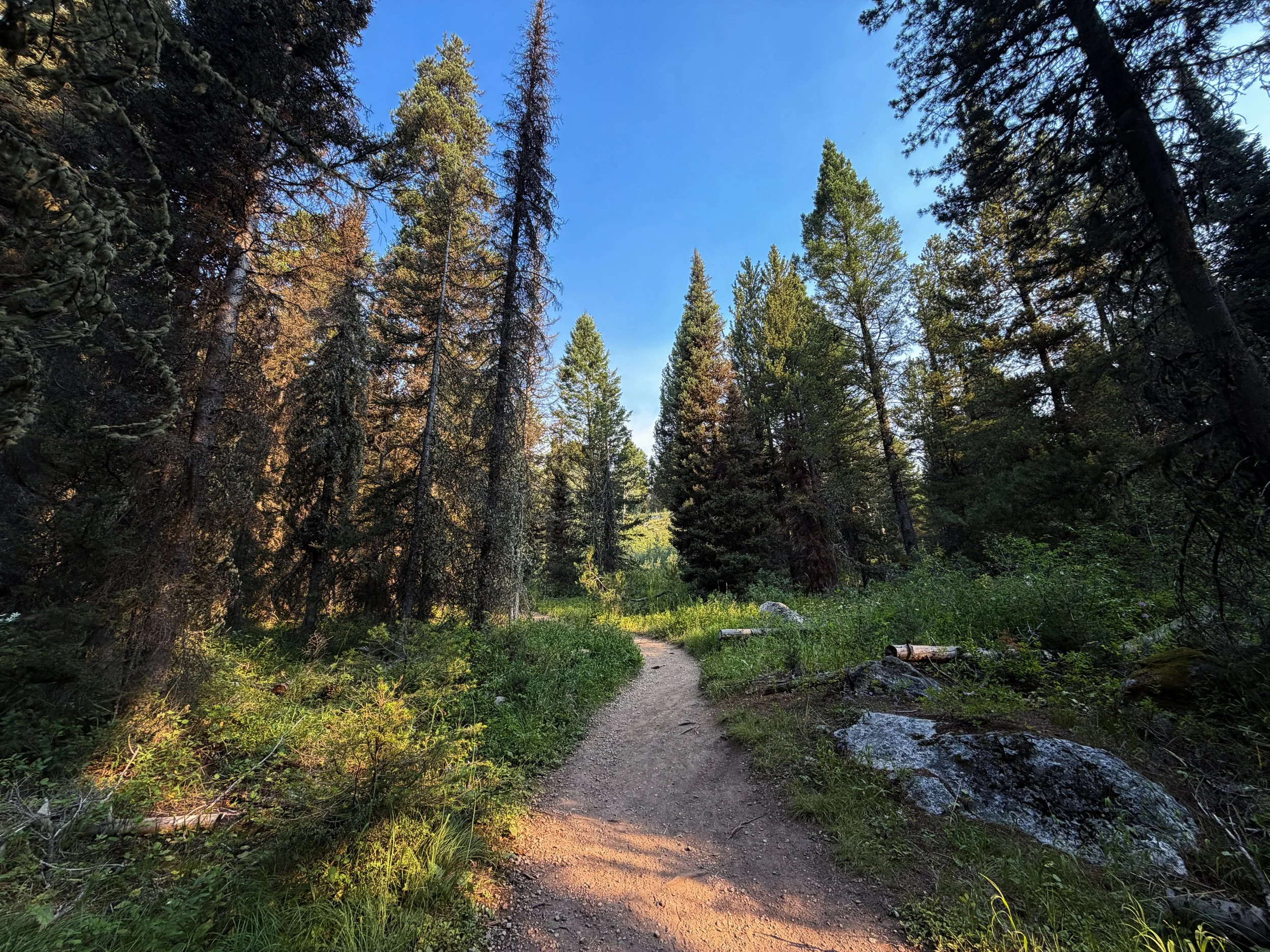 Boulder Ridge Loop Trail Grand Teton National Park Wyoming