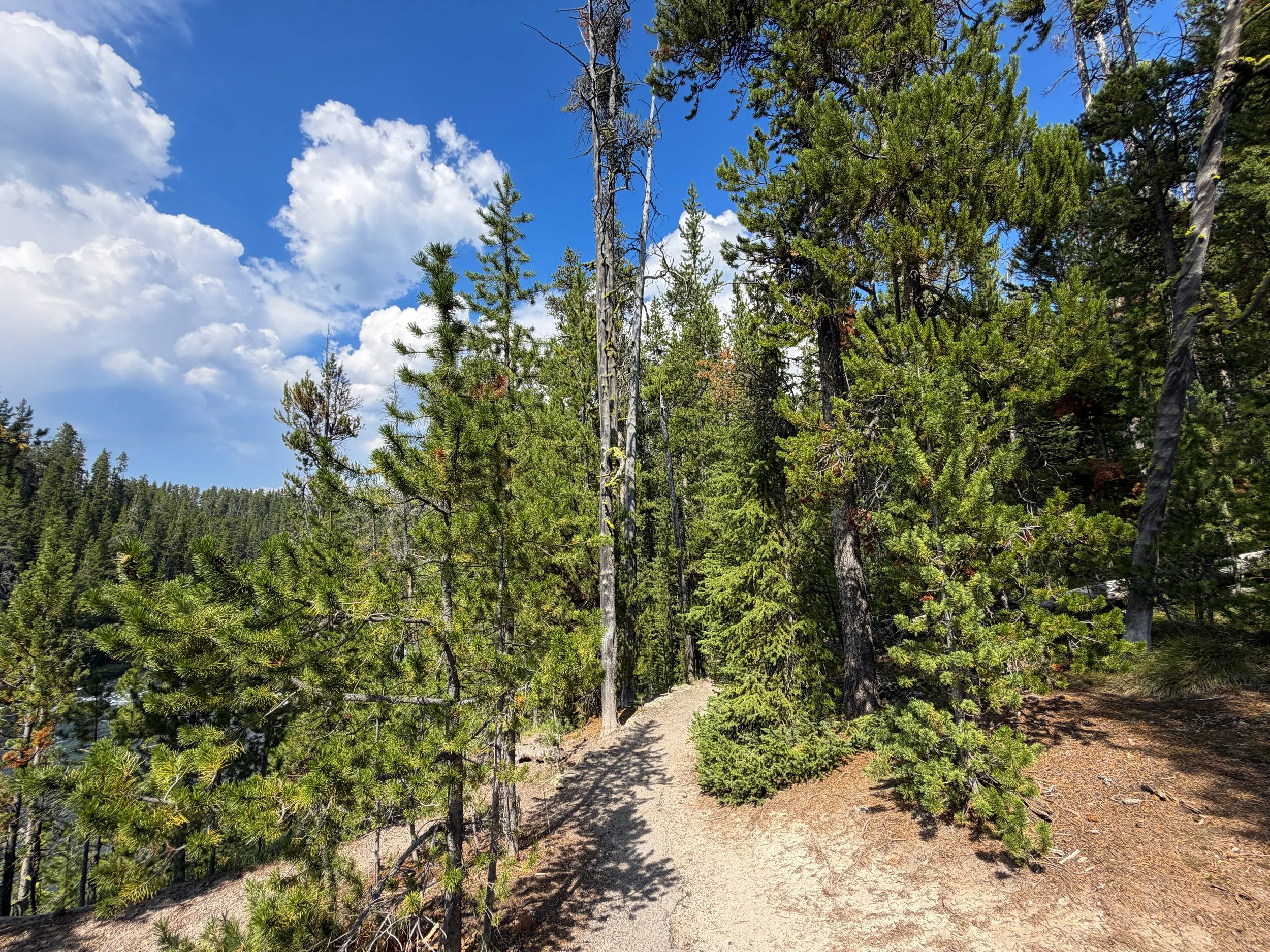 South Rim Trail Yellowstone National Park Wyoming