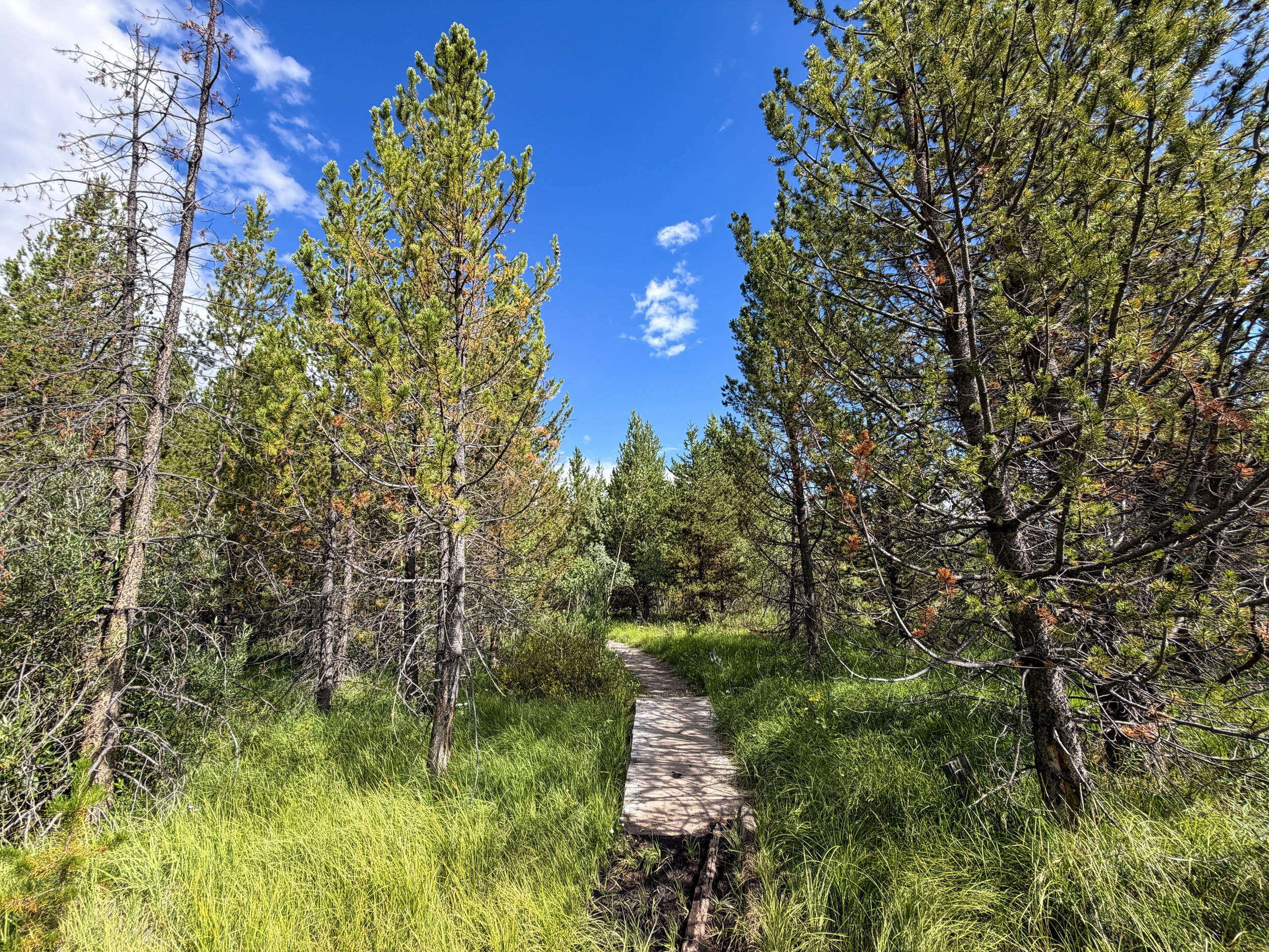 Fairy Falls Trail to Imperial Geyser Yellowstone National Park Wyoming