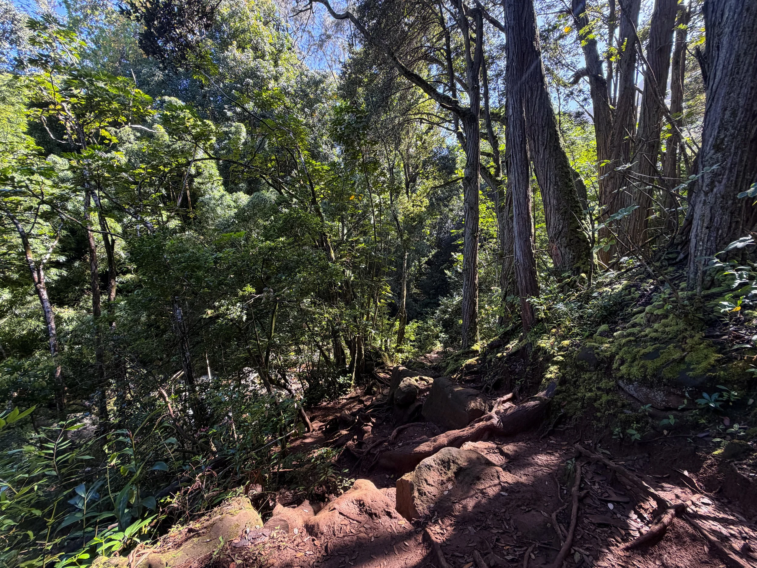Judd Trail Oahu Hawaii