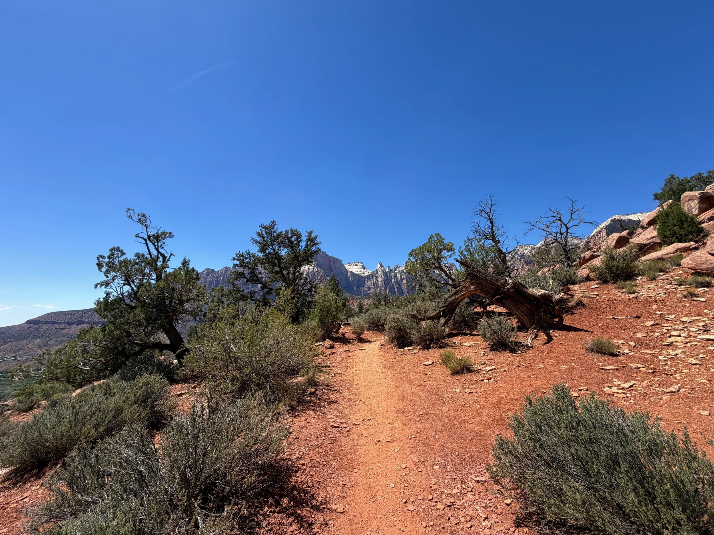 Watchman Loop Trail Zion National Park Utah