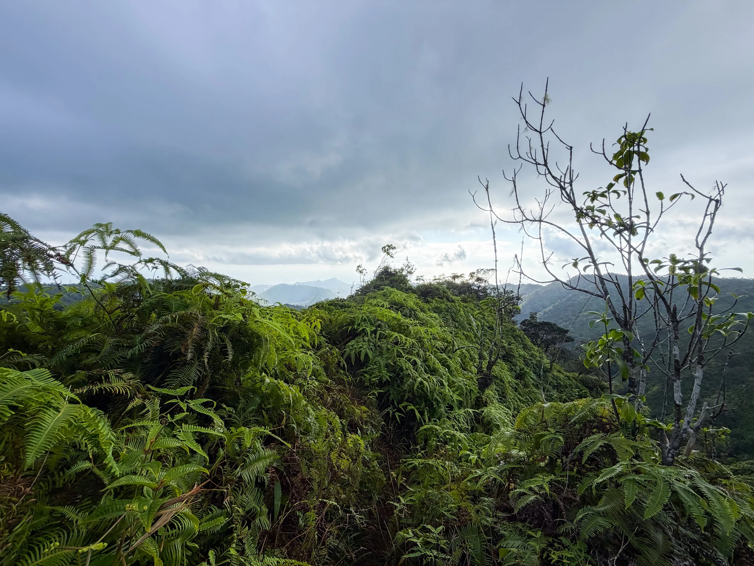 Kaau Crater Trail Oahu Hawaii