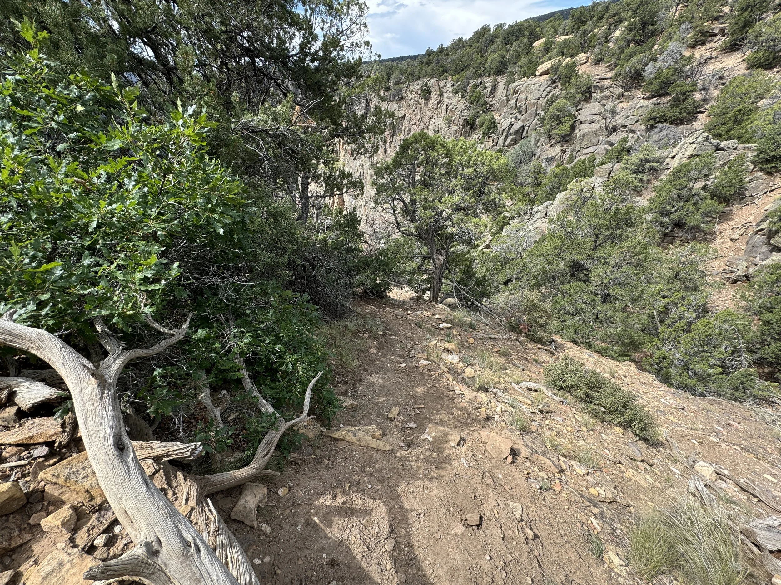 Hiking the Pinyon Draw Trail (S.O.B. Draw) in Black Canyon of the ...