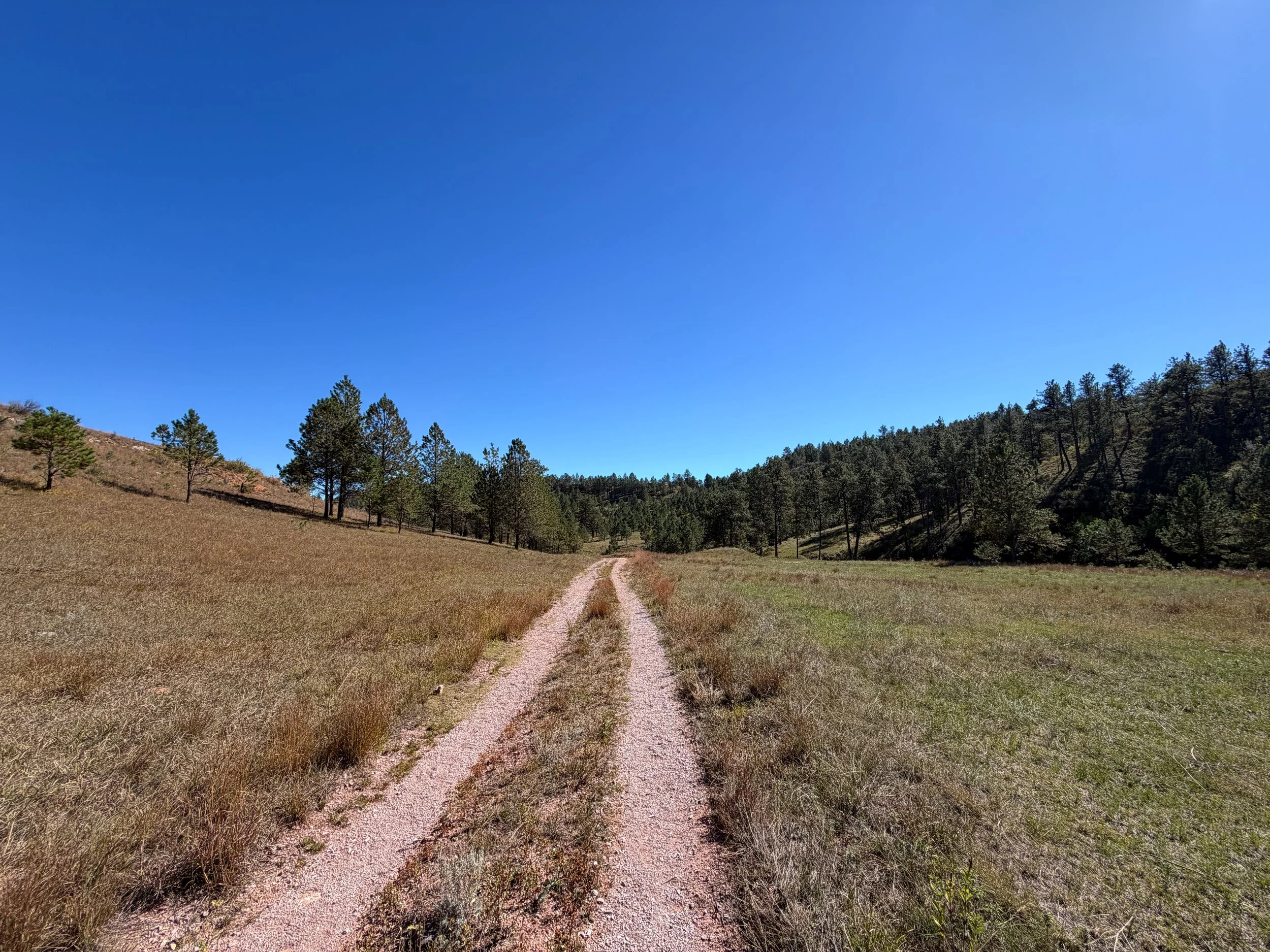 Wind Cave Canyon Trail Wind Cave National Park South Dakota