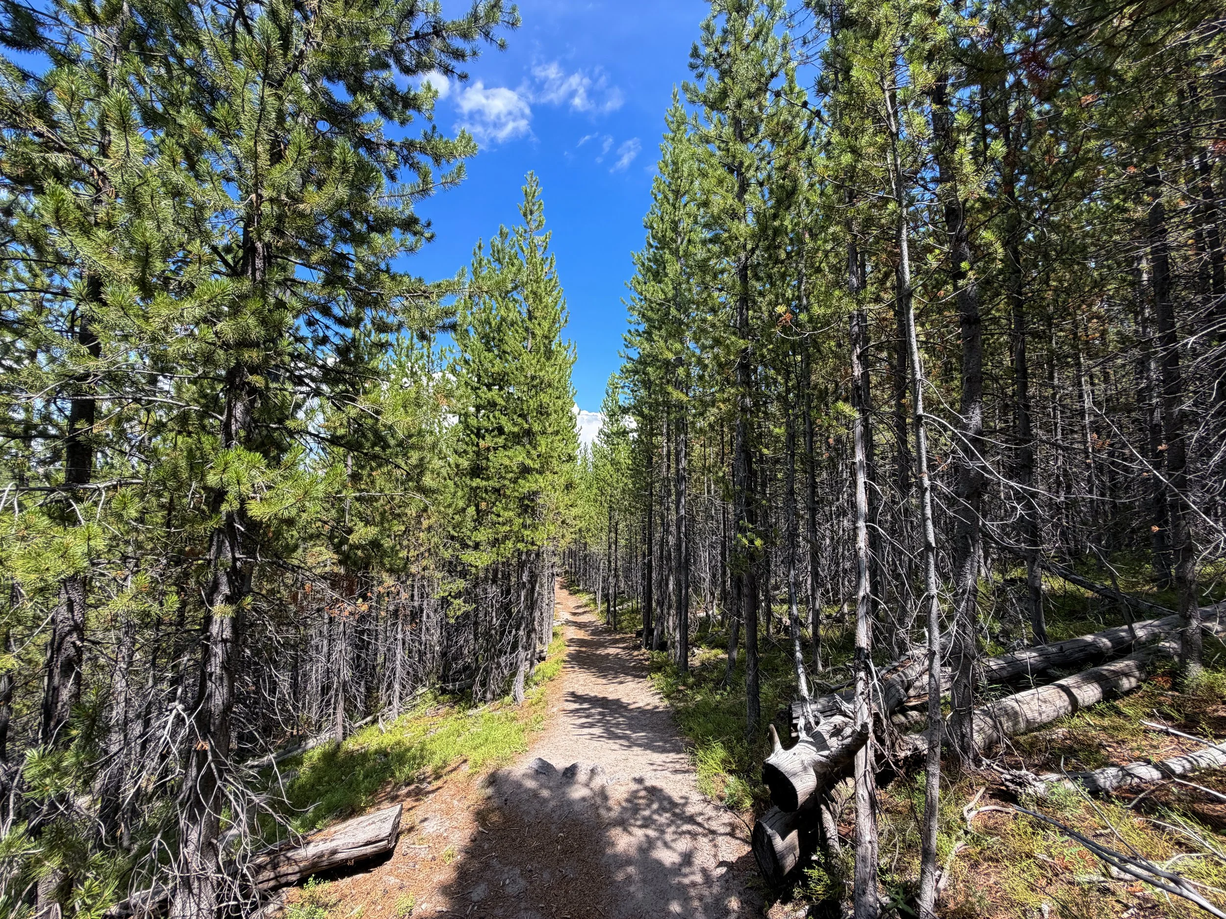 Duck Lake Hike Yellowstone National Park Wyoming