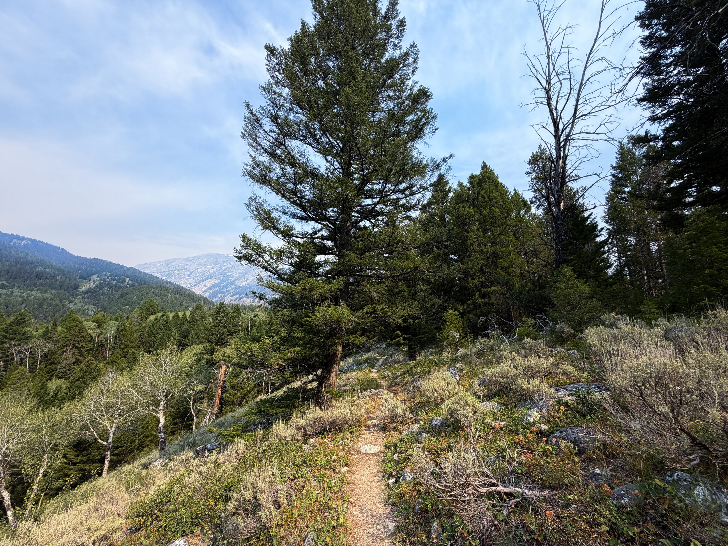 Aspen Ridge Loop Trail Grand Teton National Park Wyoming