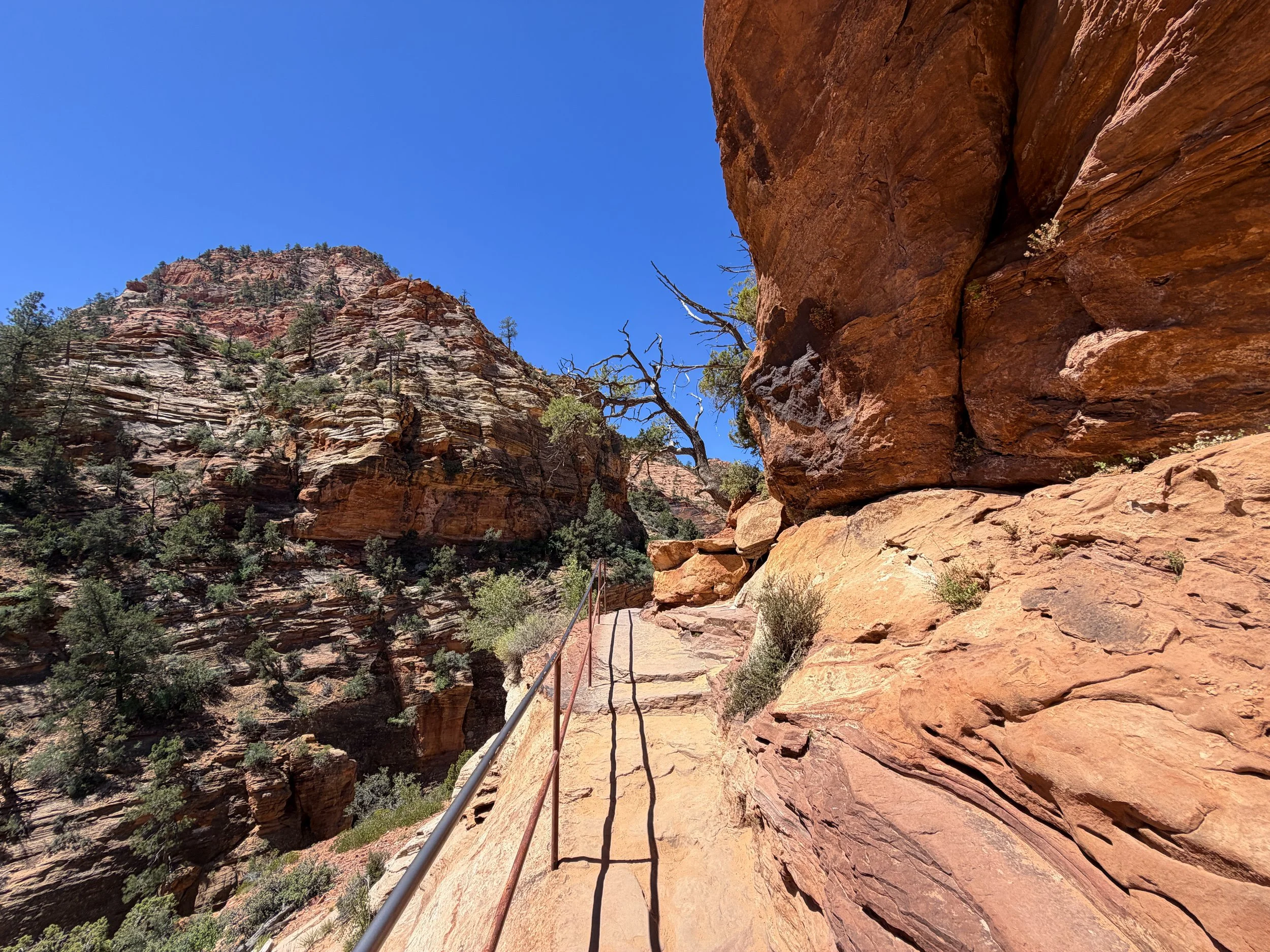 Canyon Overlook Trail Zion National Park Utah