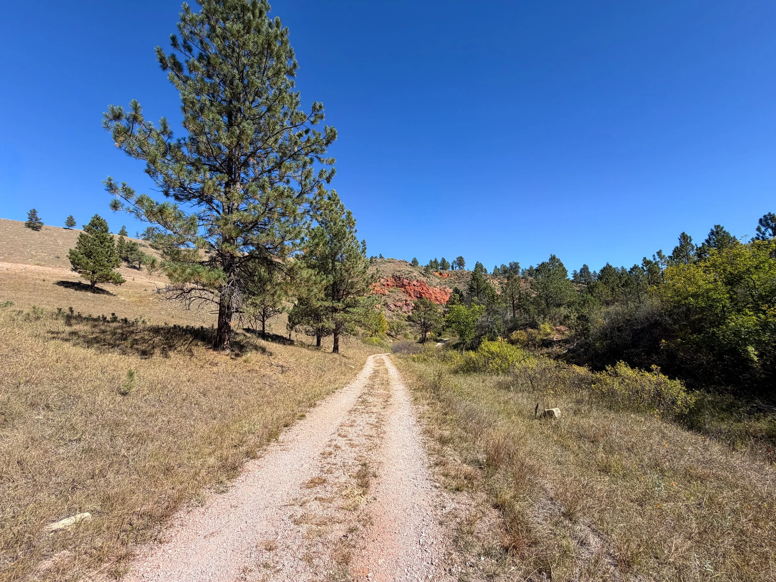 Wind Cave Canyon Hike Wind Cave National Park South Dakota