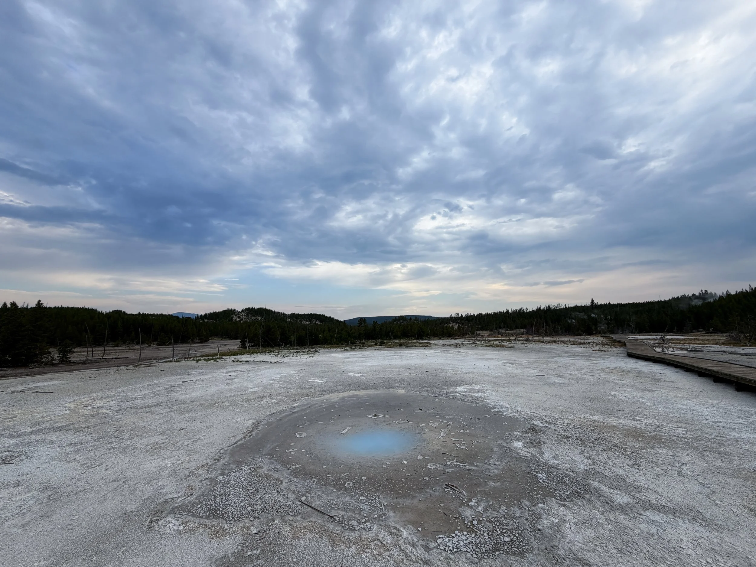 Pearl Geyser Norris Geyser Basin Trail Yellowstone National Park Wyoming