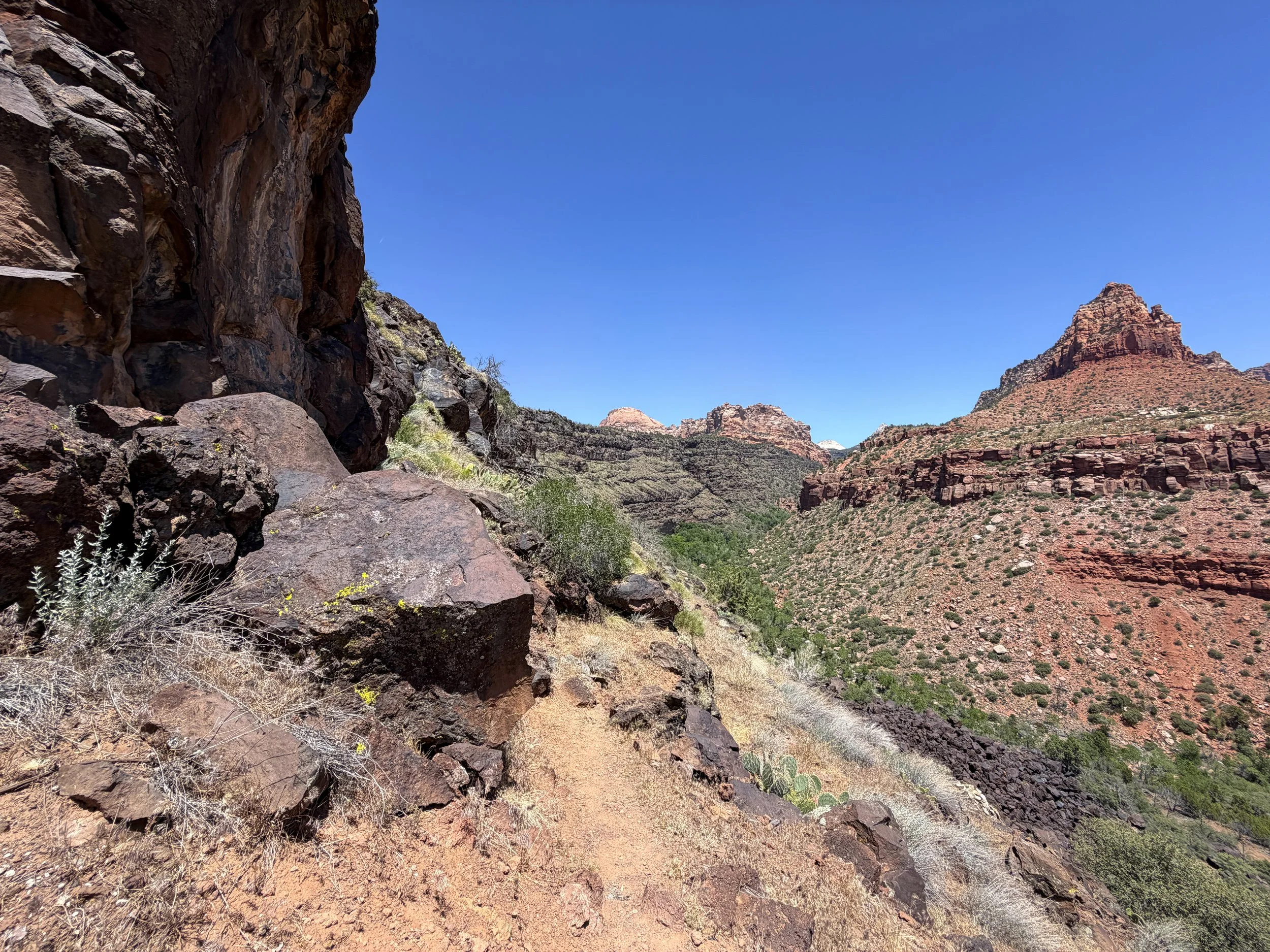Grapevine Trail Zion National Park Utah