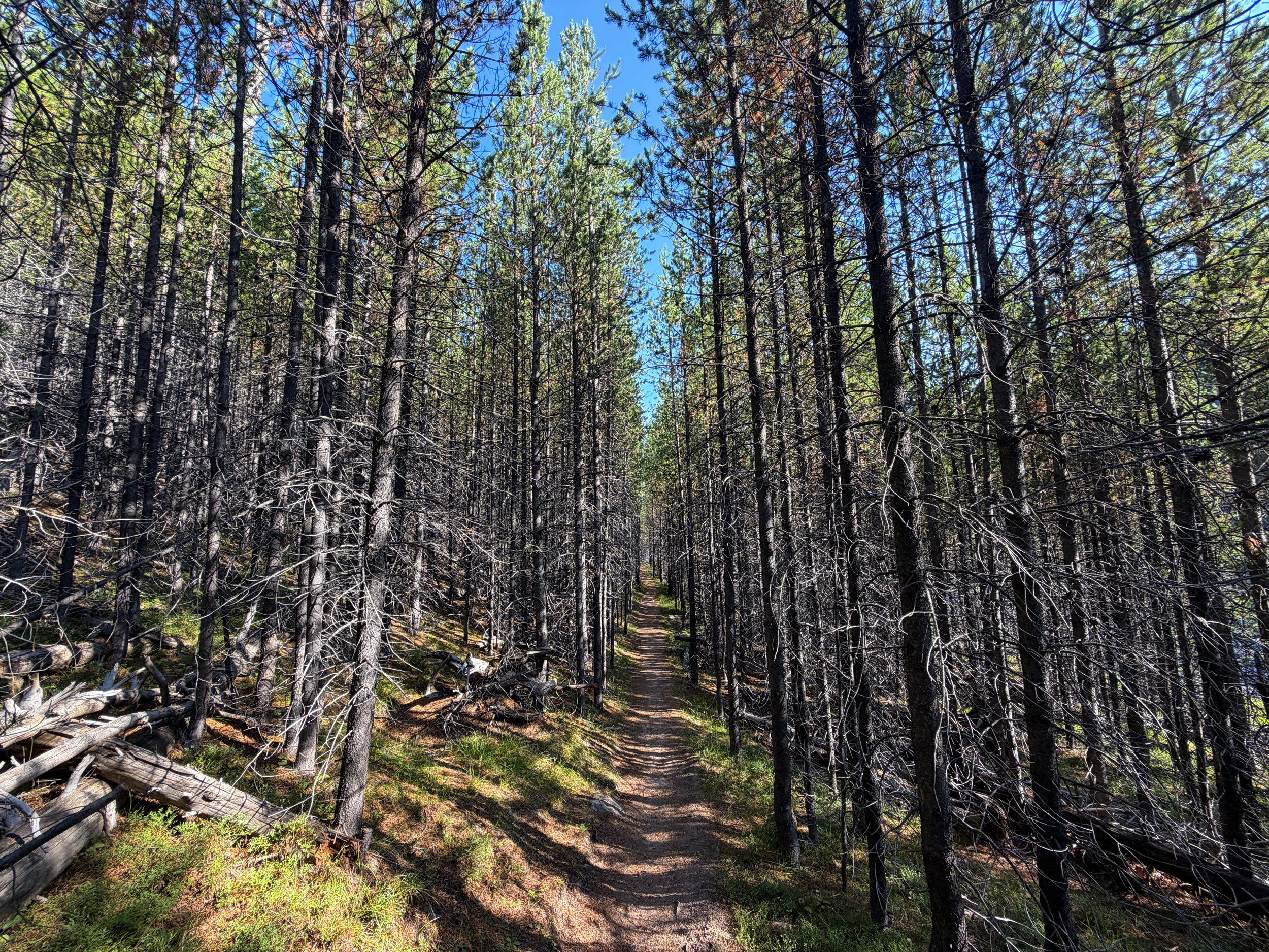 Monument Geyser Basin Trail Yellowstone National Park Wyoming