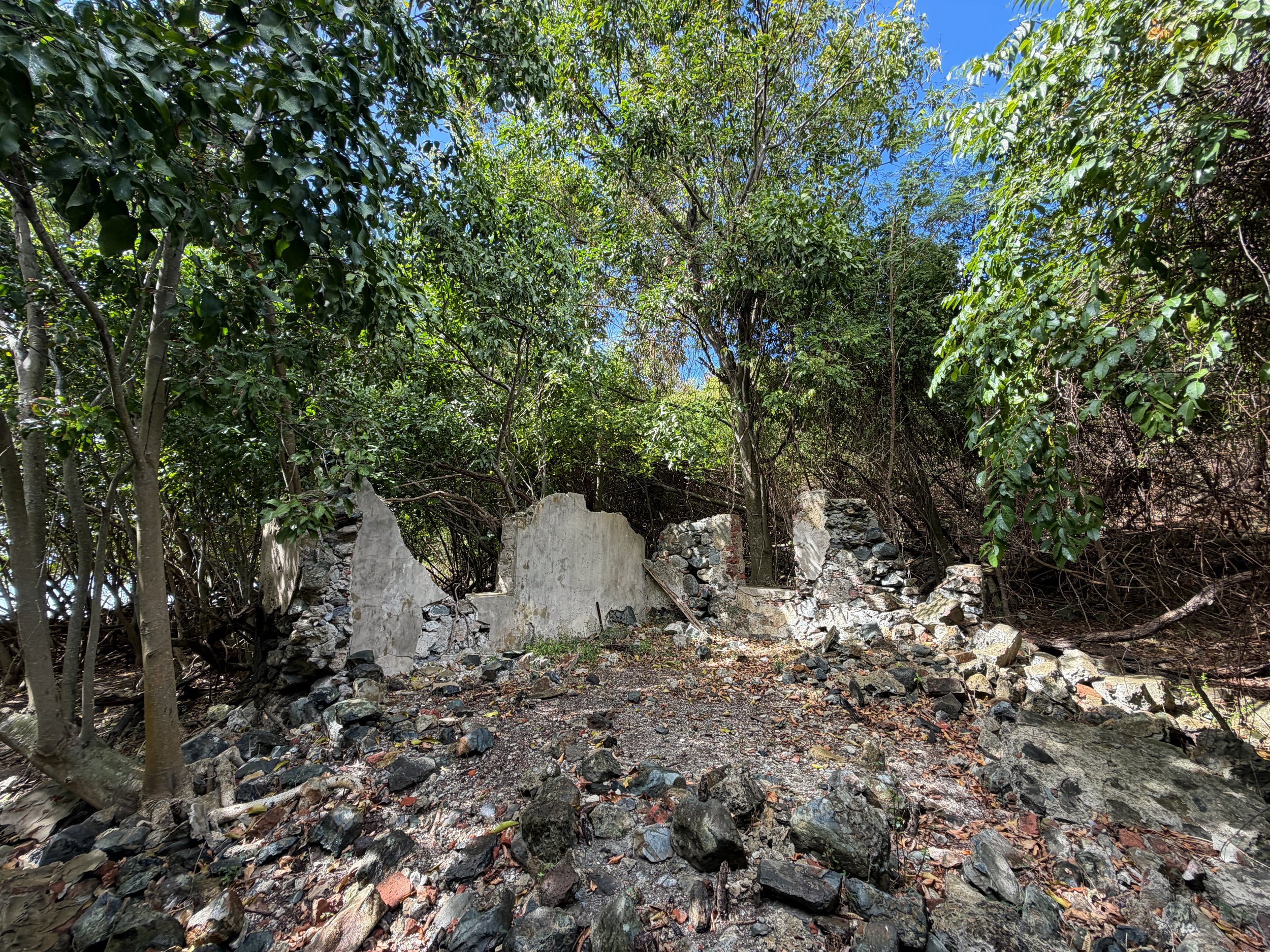 Leinster Bay Trail Ruins Virgin Islands National Park