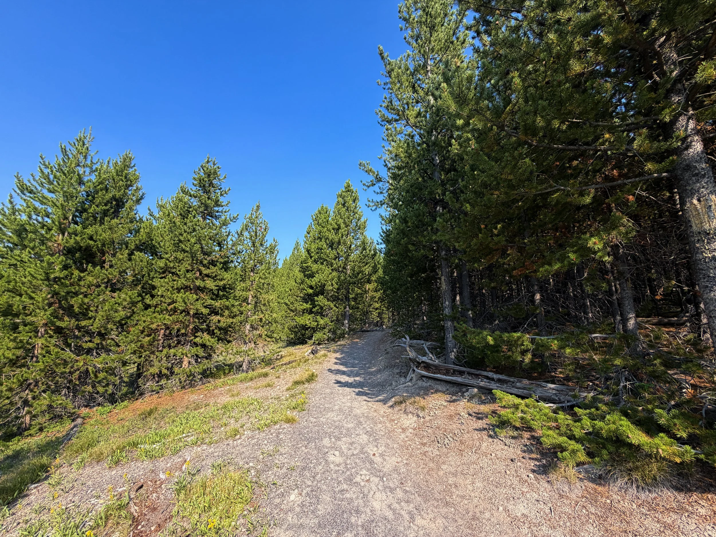 Mystic Falls Trail Yellowstone National Park Wyoming